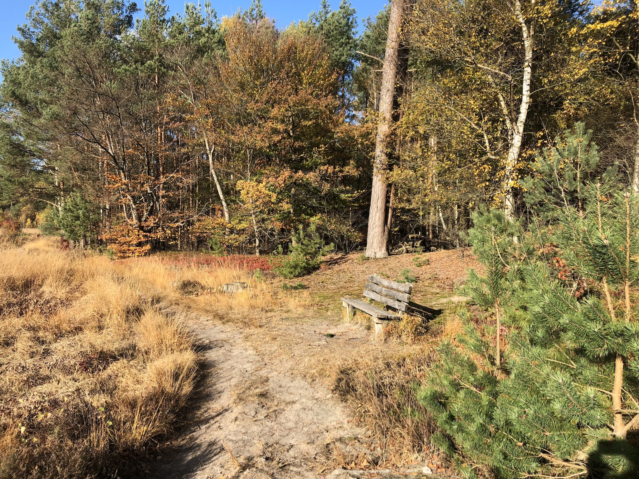 Feriebolig Landgoed de Klimberg