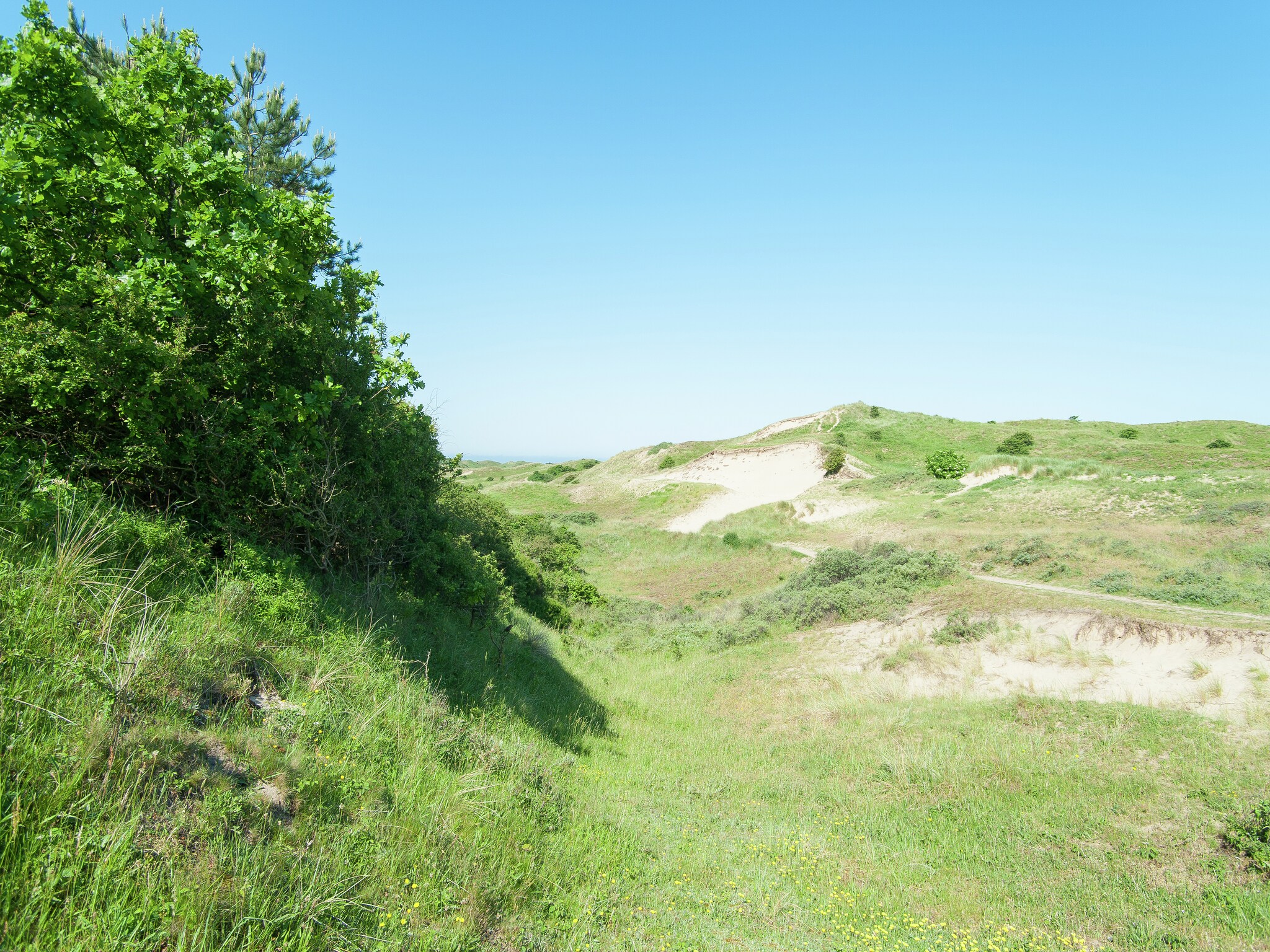  Sea Lodges Bloemendaal 1