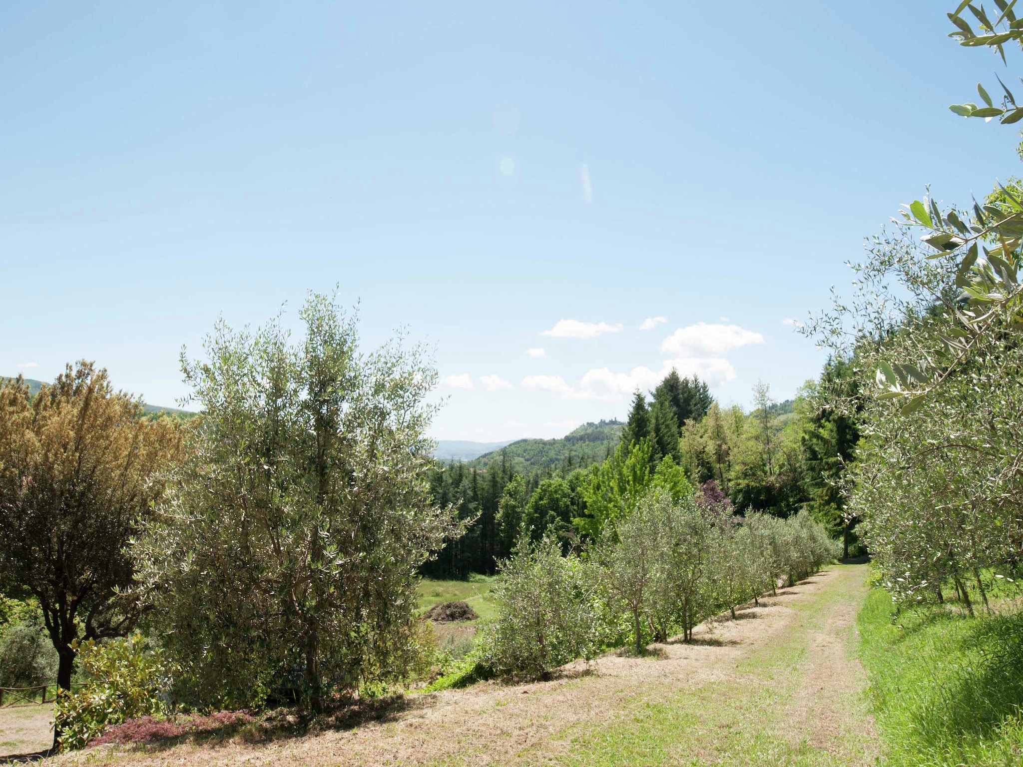 Casa di vacanze Villa Stia