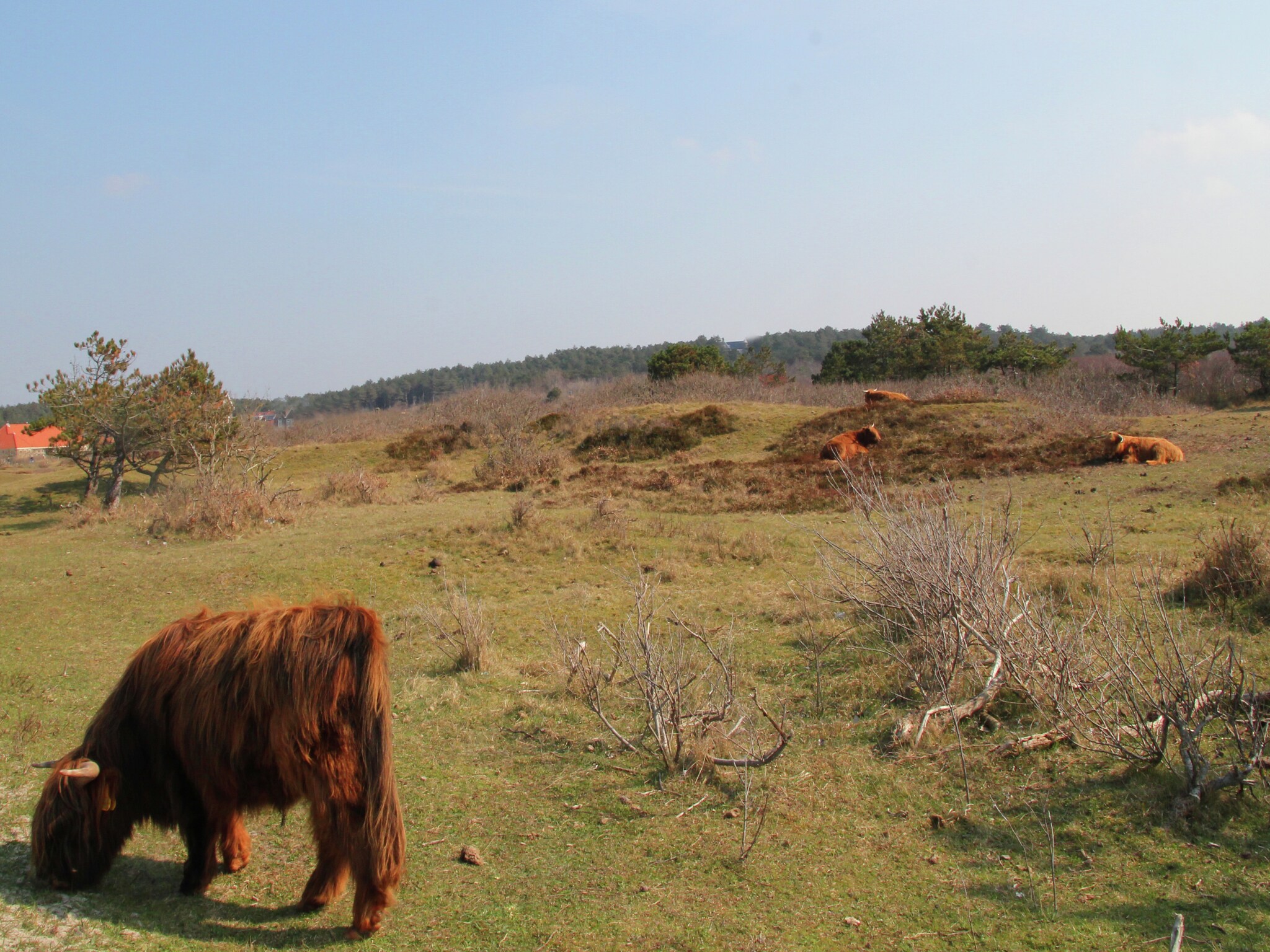   Sea Lodges Bloemendaal 2