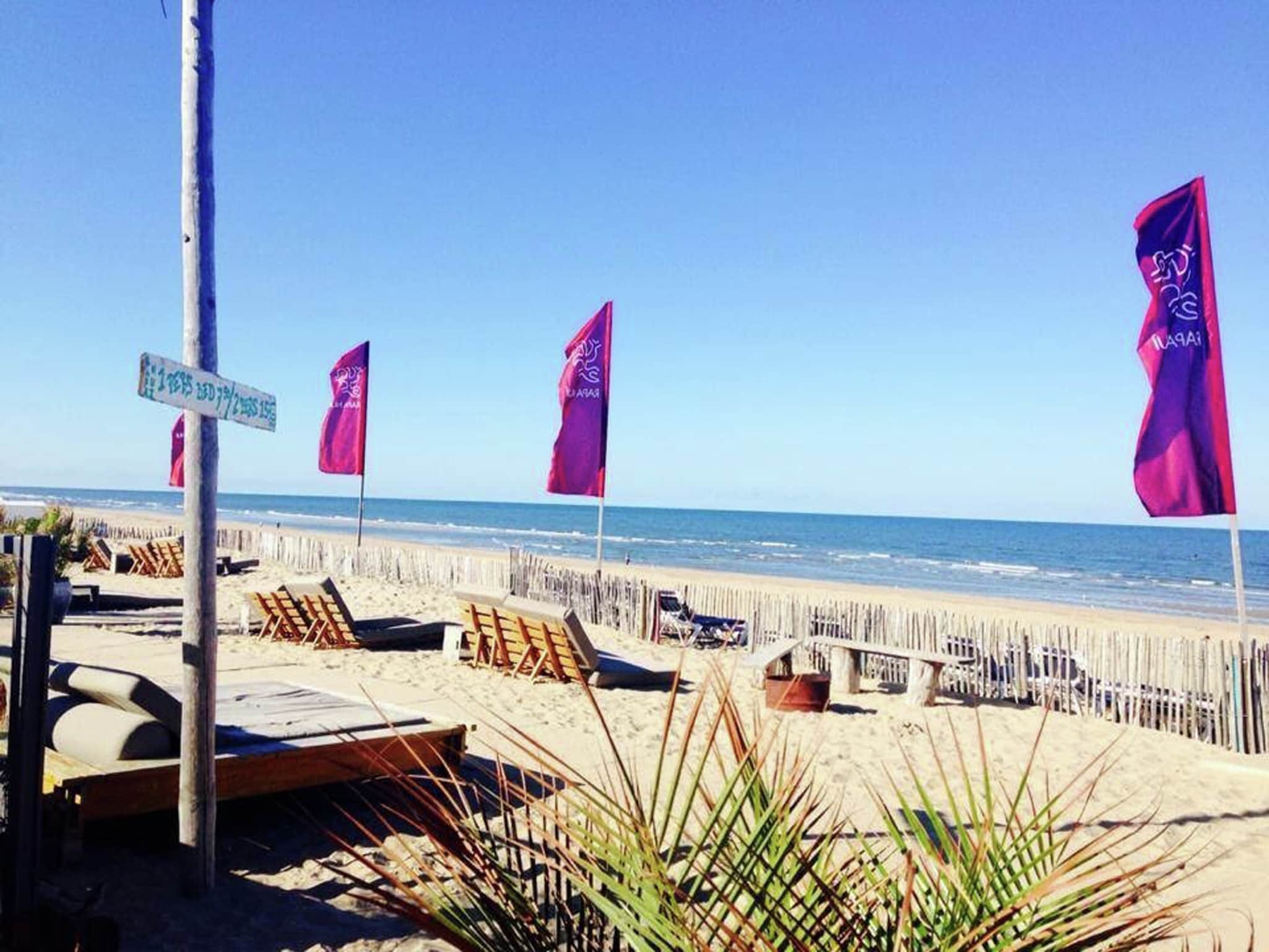   Sea Lodges Bloemendaal 4