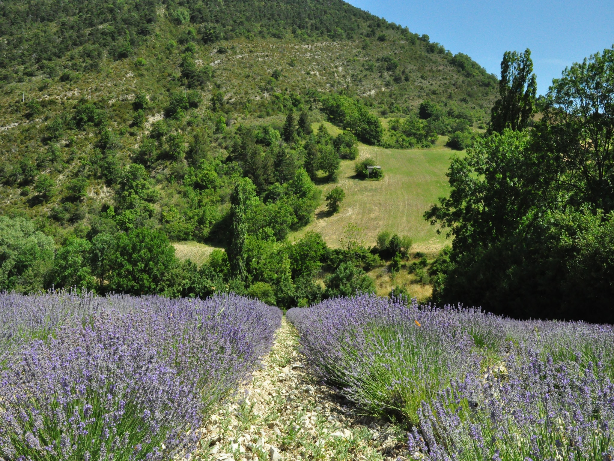 Vacation home Les Collines