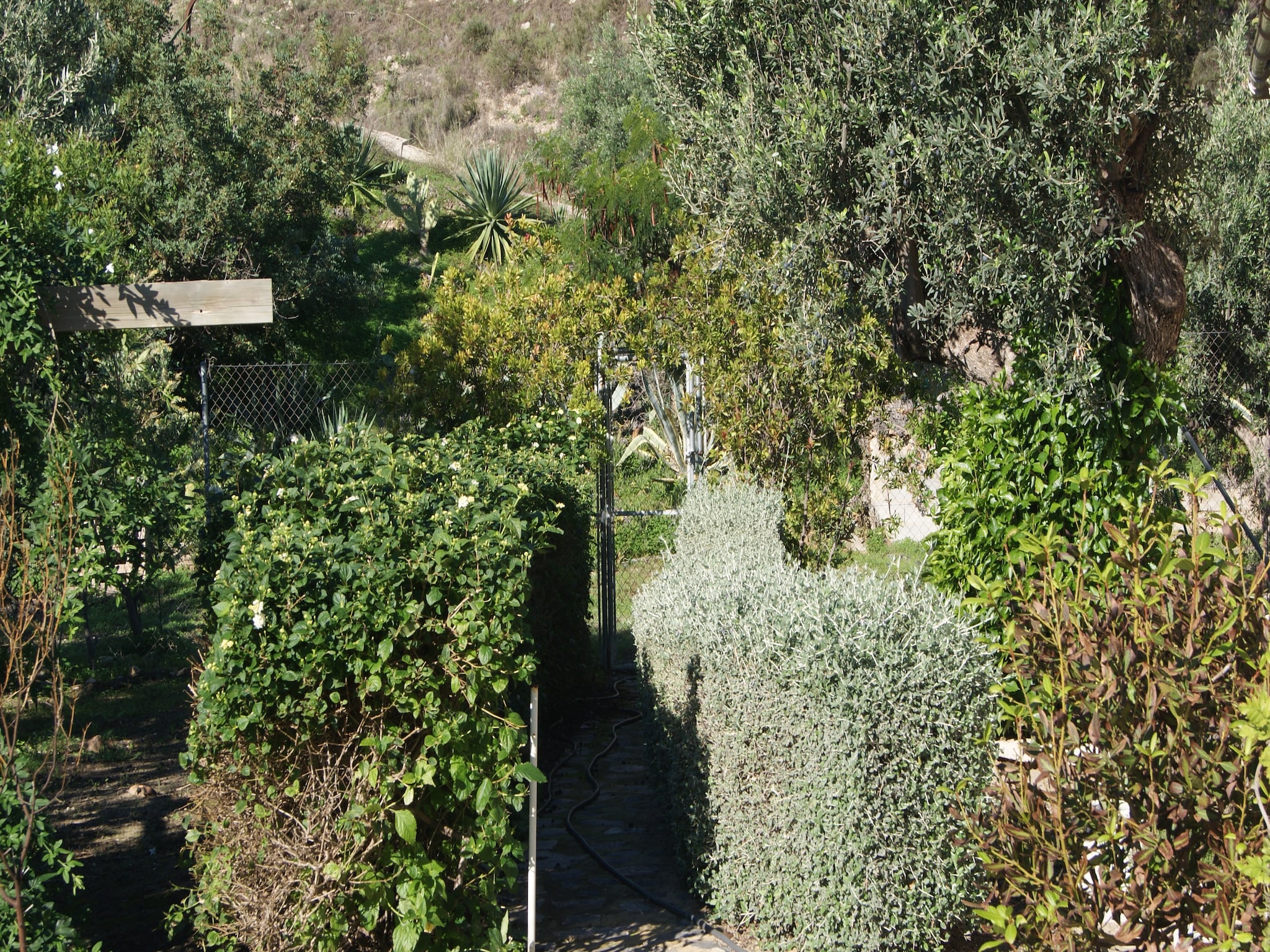   Casa Nido Cálido