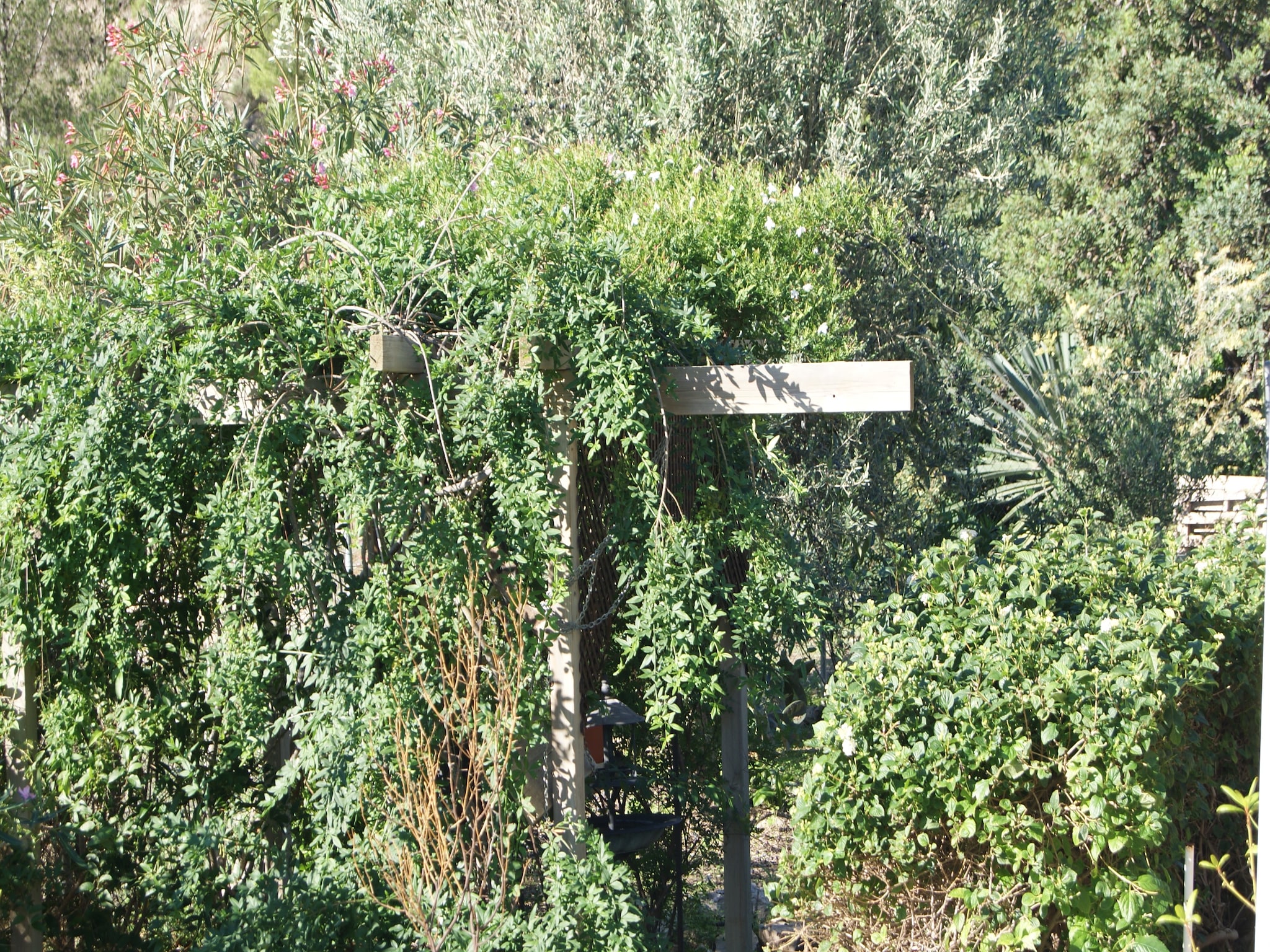   Casa Nido Cálido