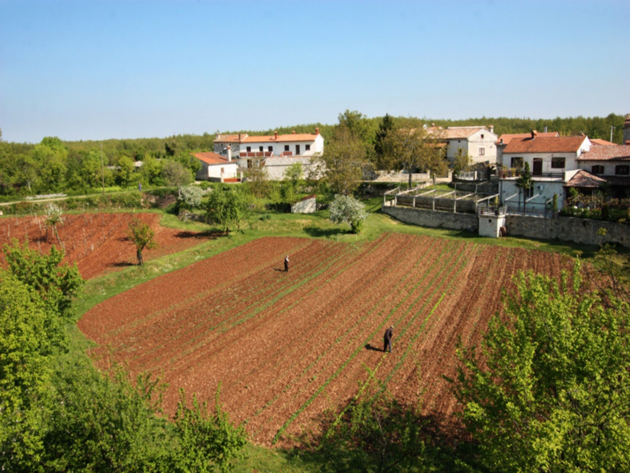   Casa Mario