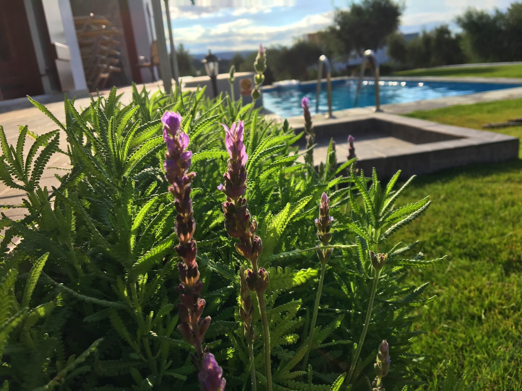 Casa de vacaciones Villa Kyria