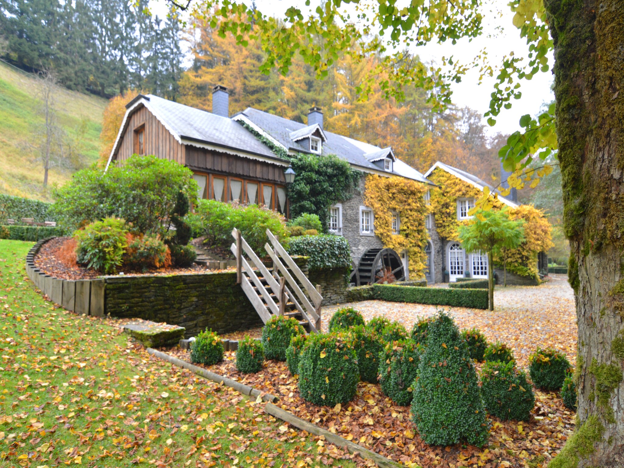   Le Vieux Moulin 22