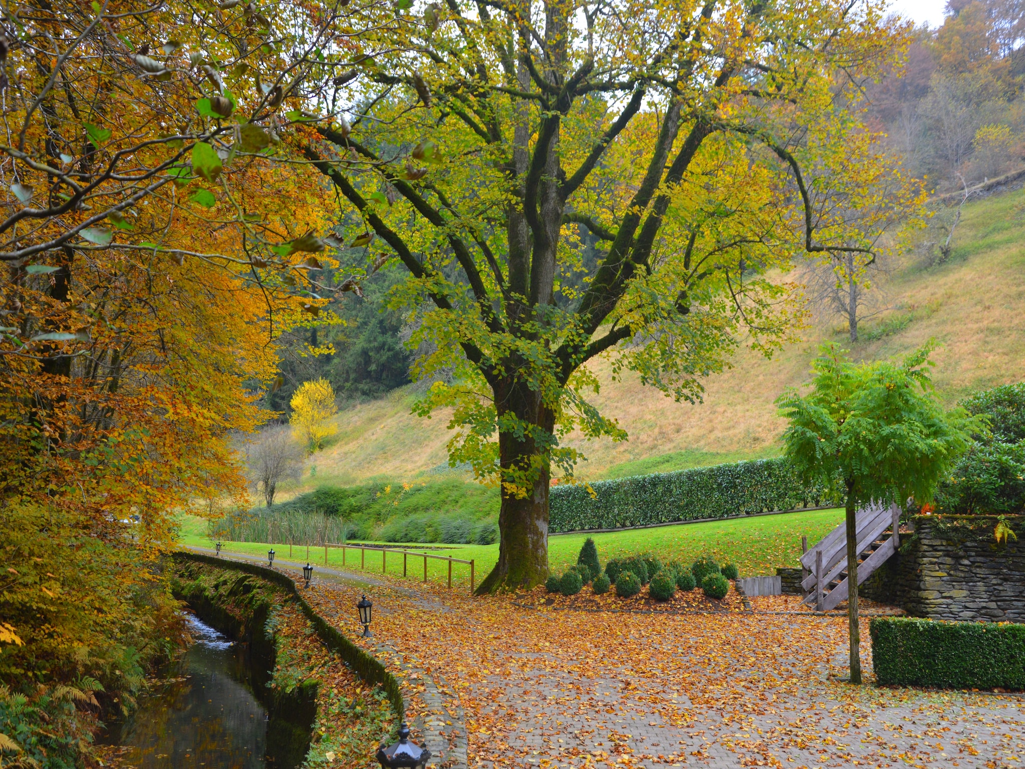   Le Vieux Moulin 22