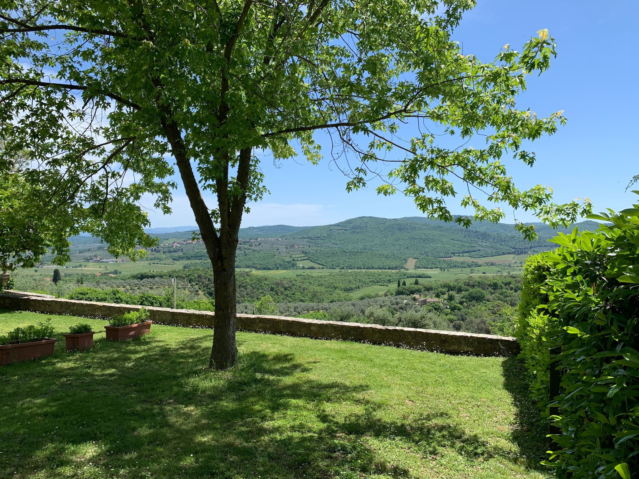   Belvedere