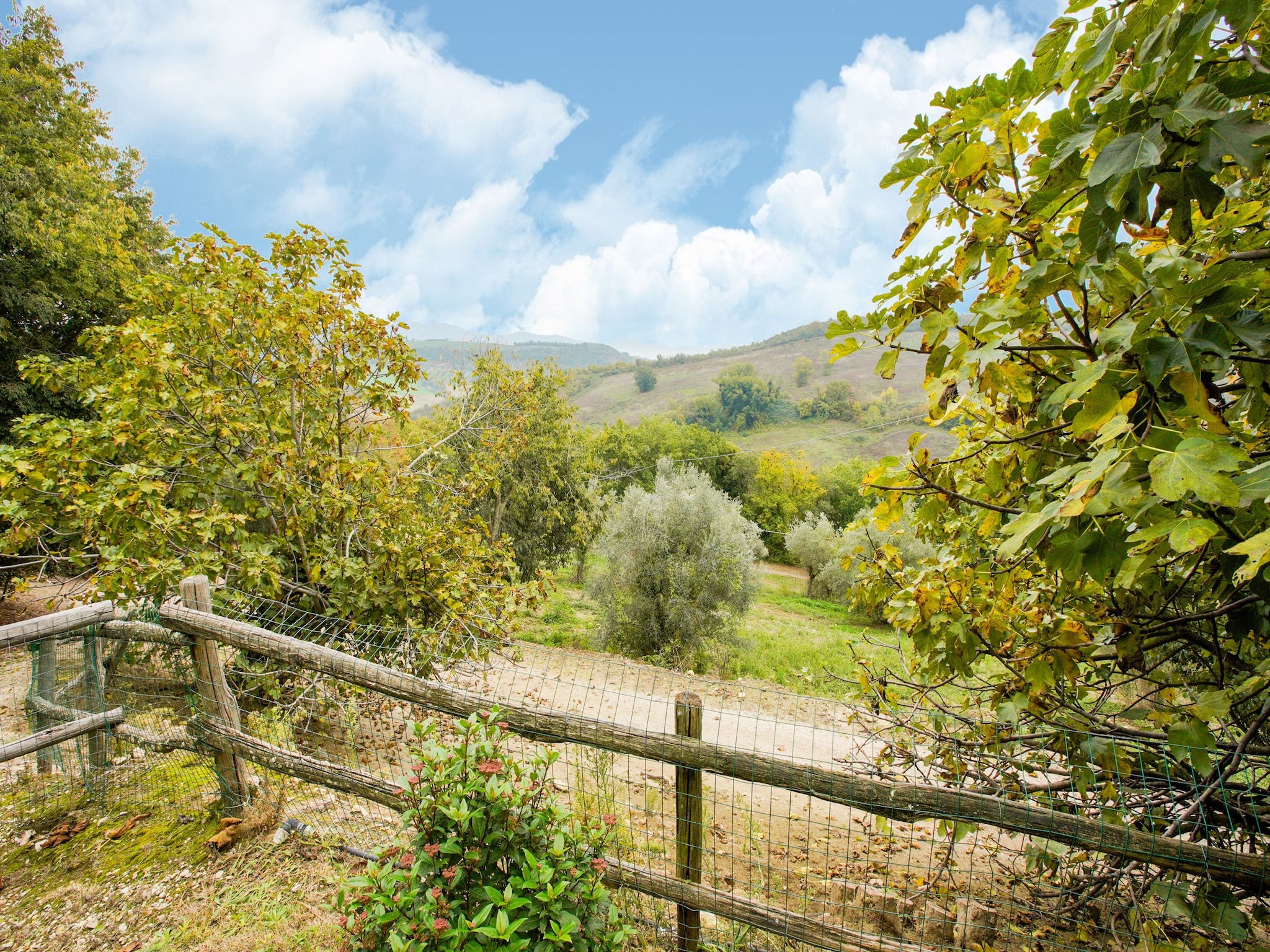 Ferienhaus Poggio