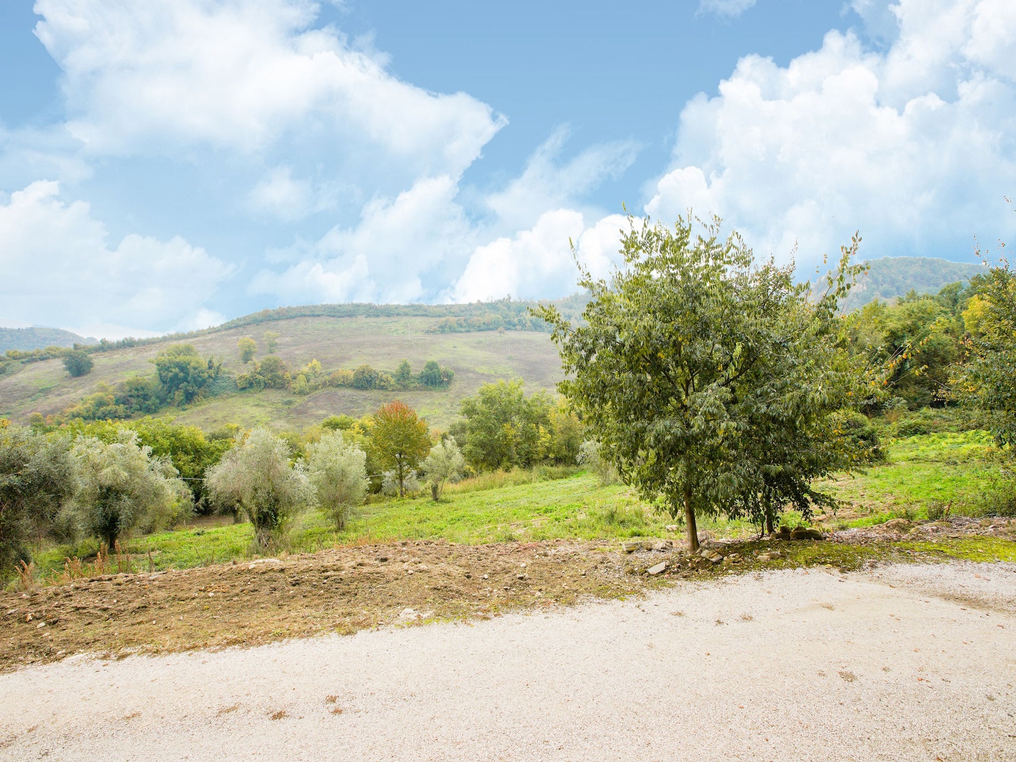 Ferienhaus Poggio