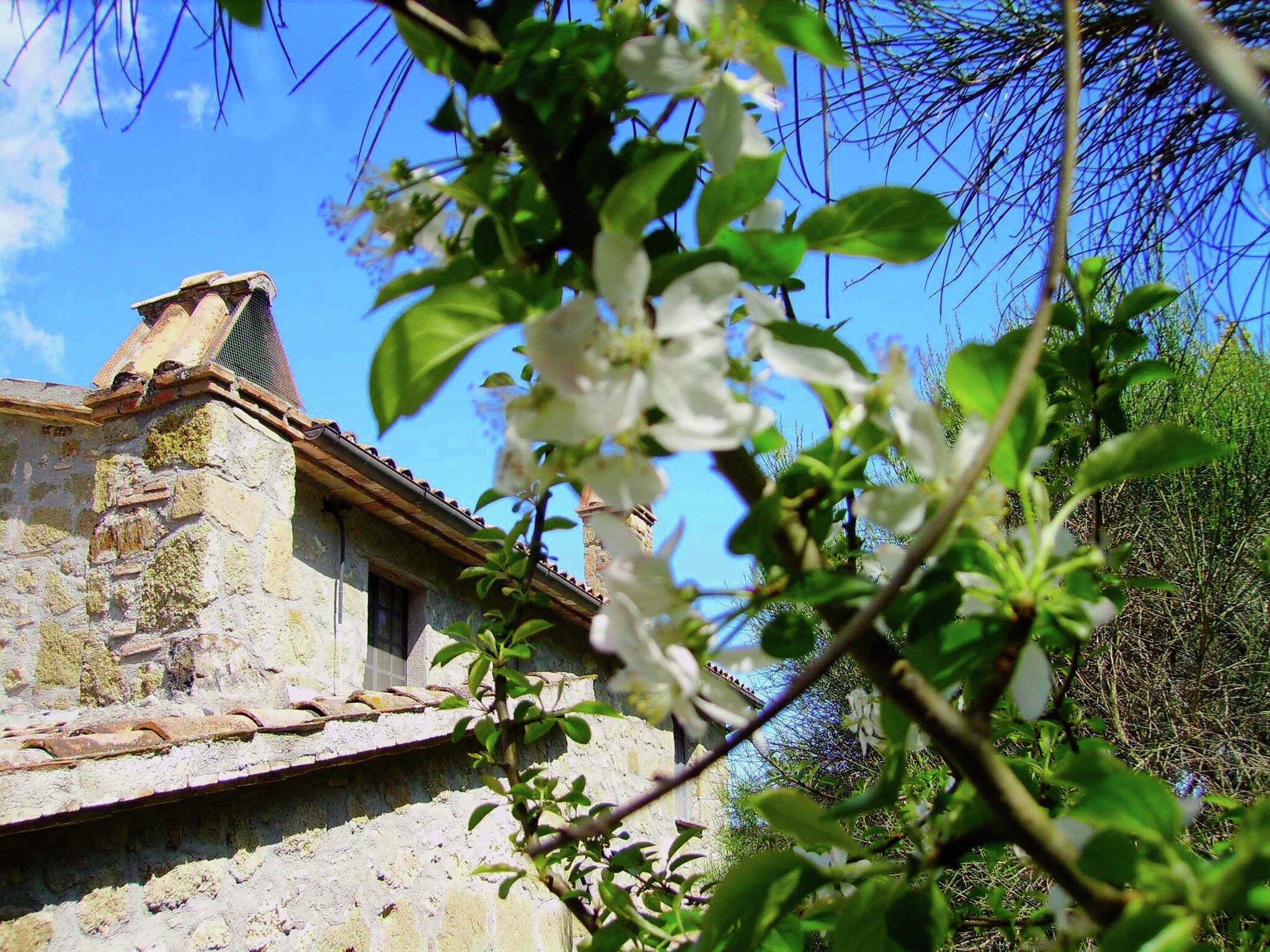 Ferienhaus Villa Felce