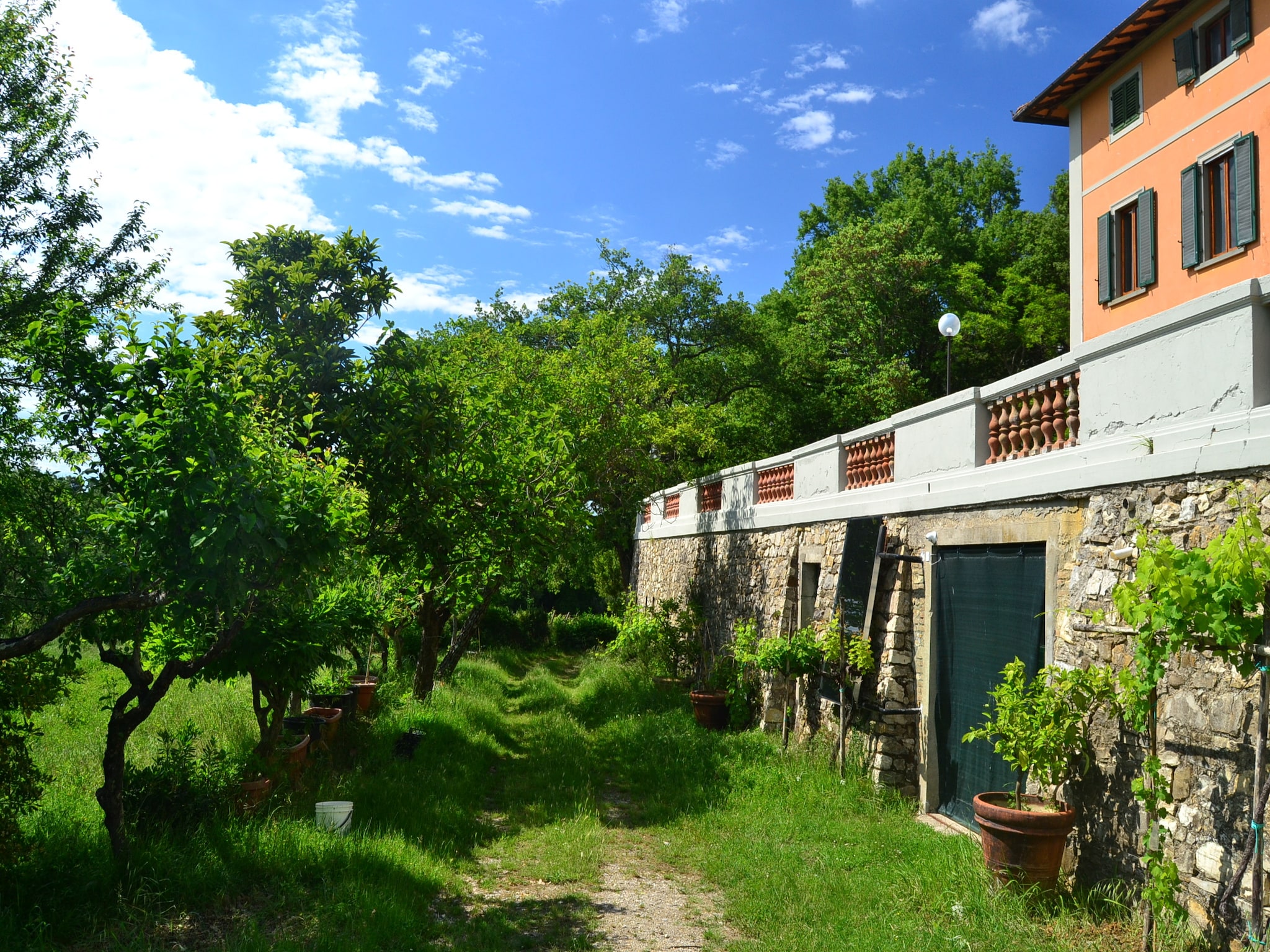 Ferienhaus Total Nisa
