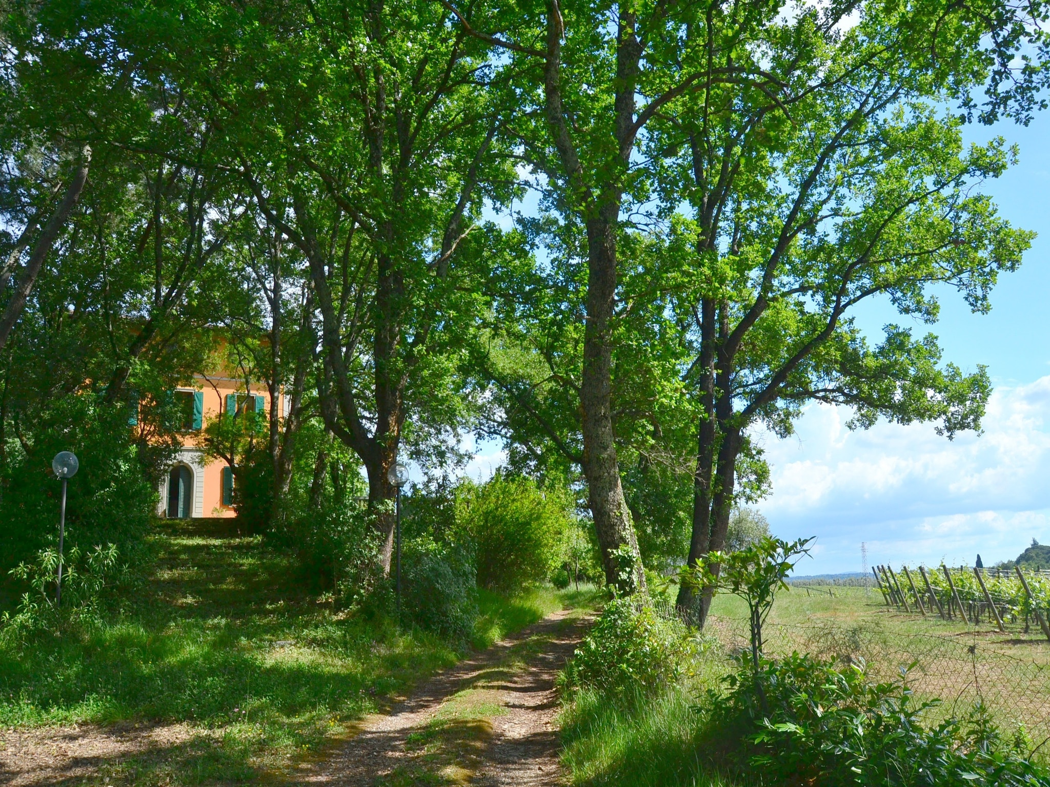 Ferienhaus Total Nisa