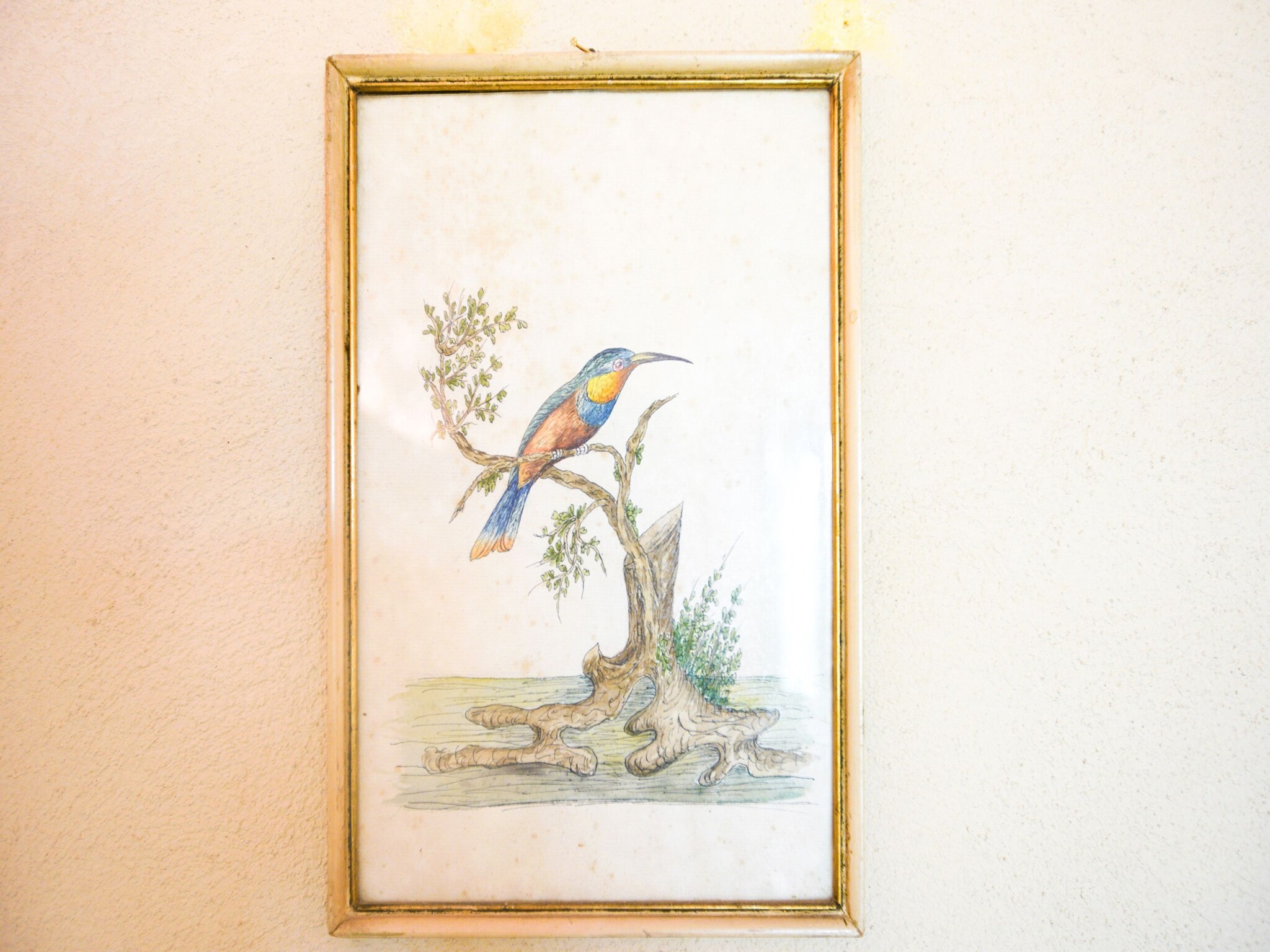 Apartment Il Belvedere