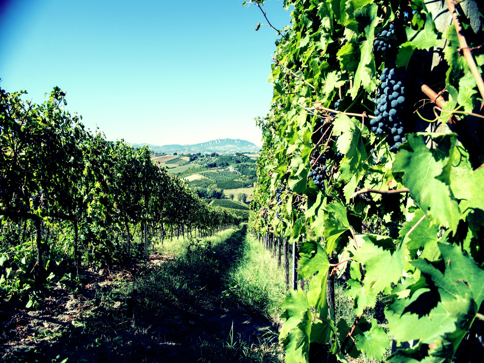Appartamento Fratello Campo