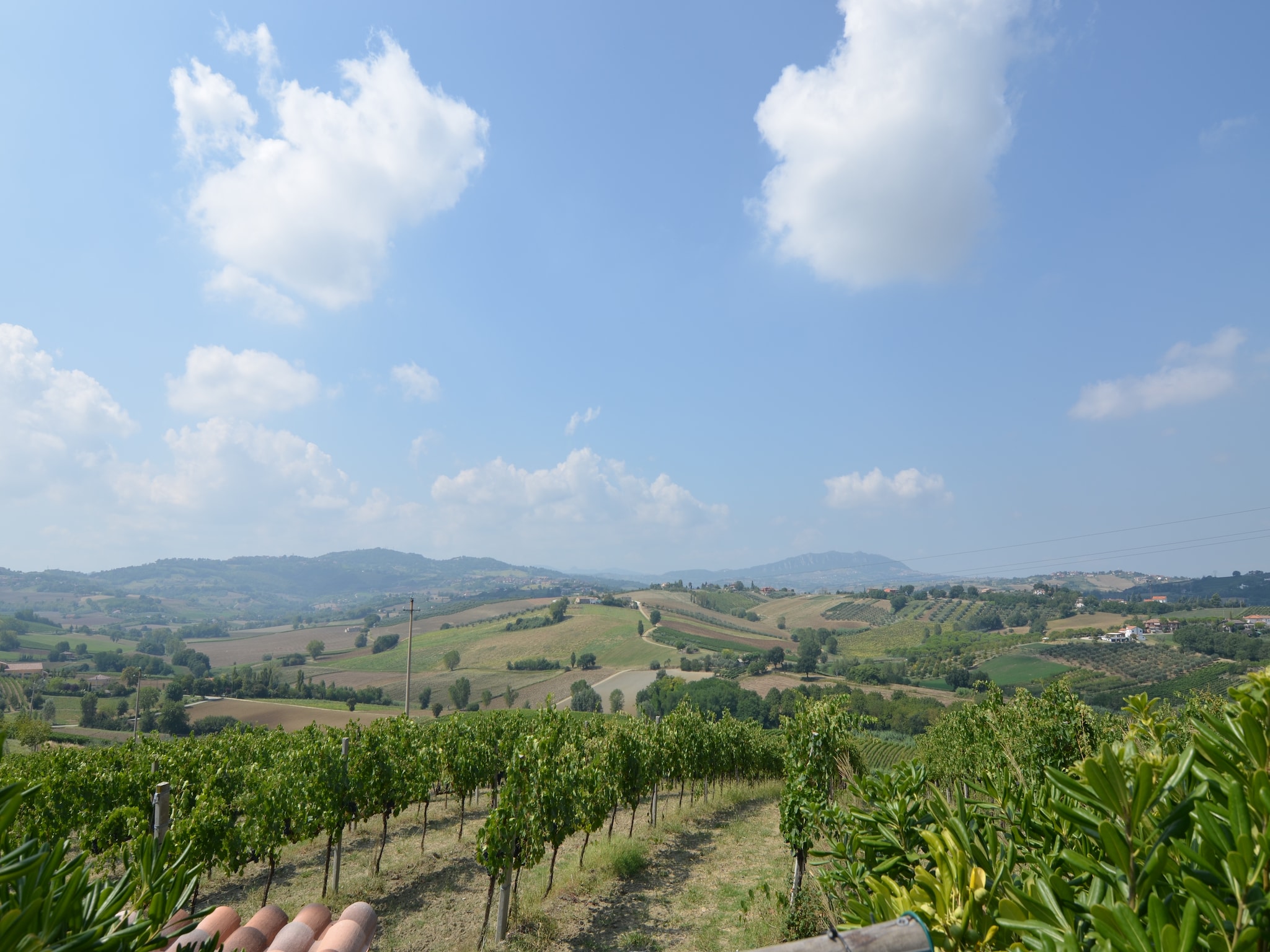 Appartamento Fratello Campo