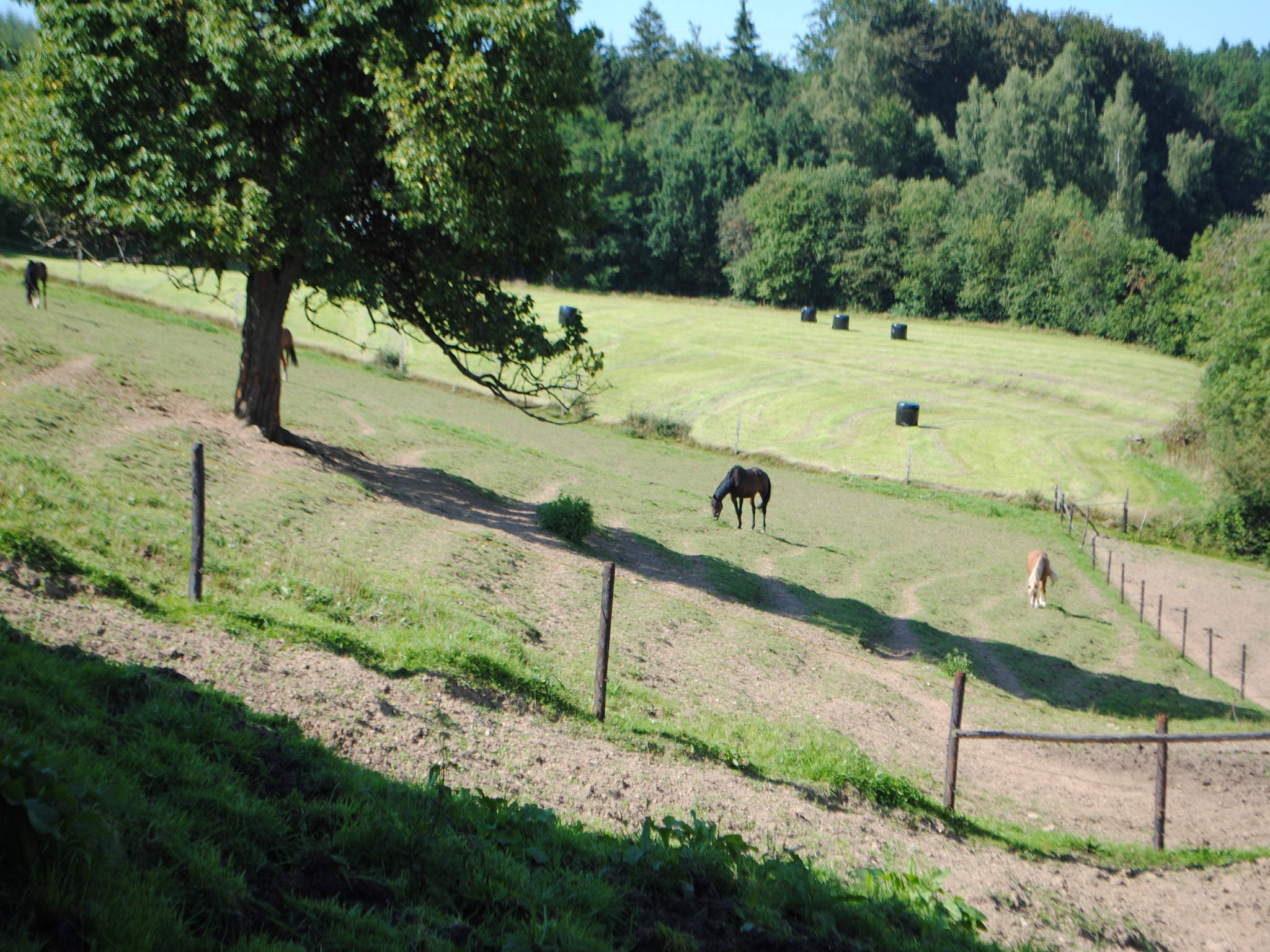   Haute Levée
