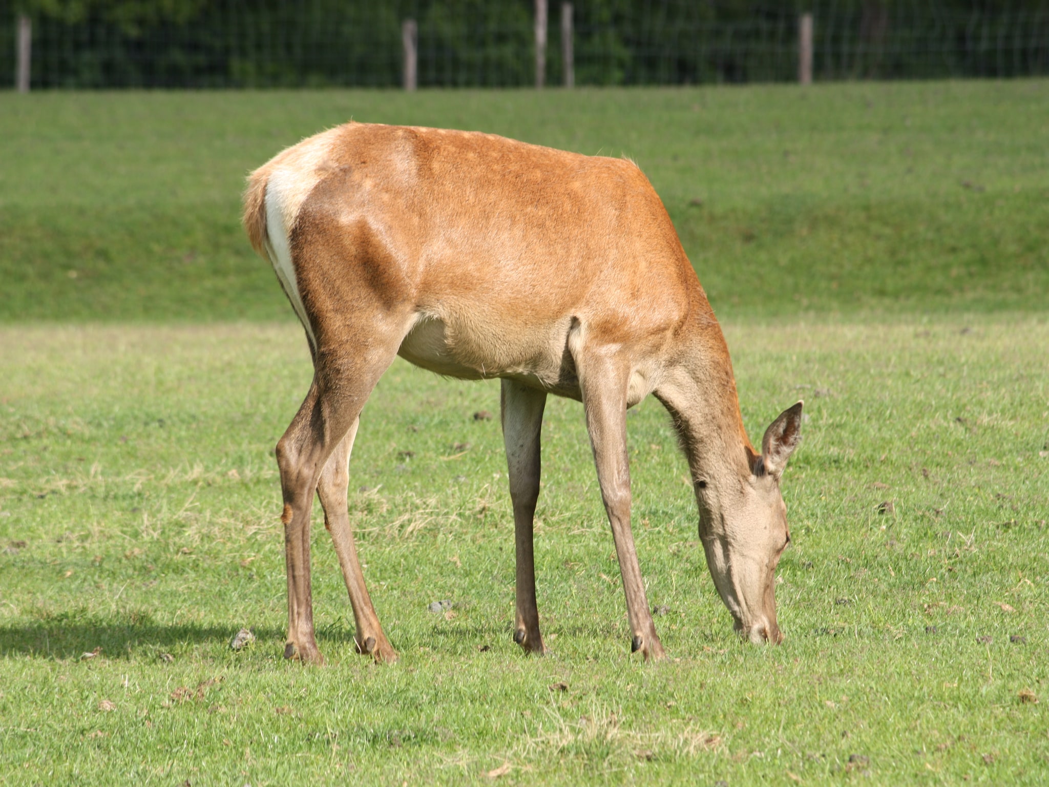   Twentepad