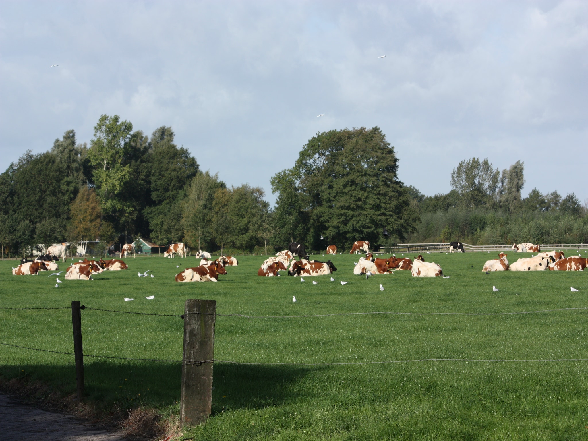   Twentepad
