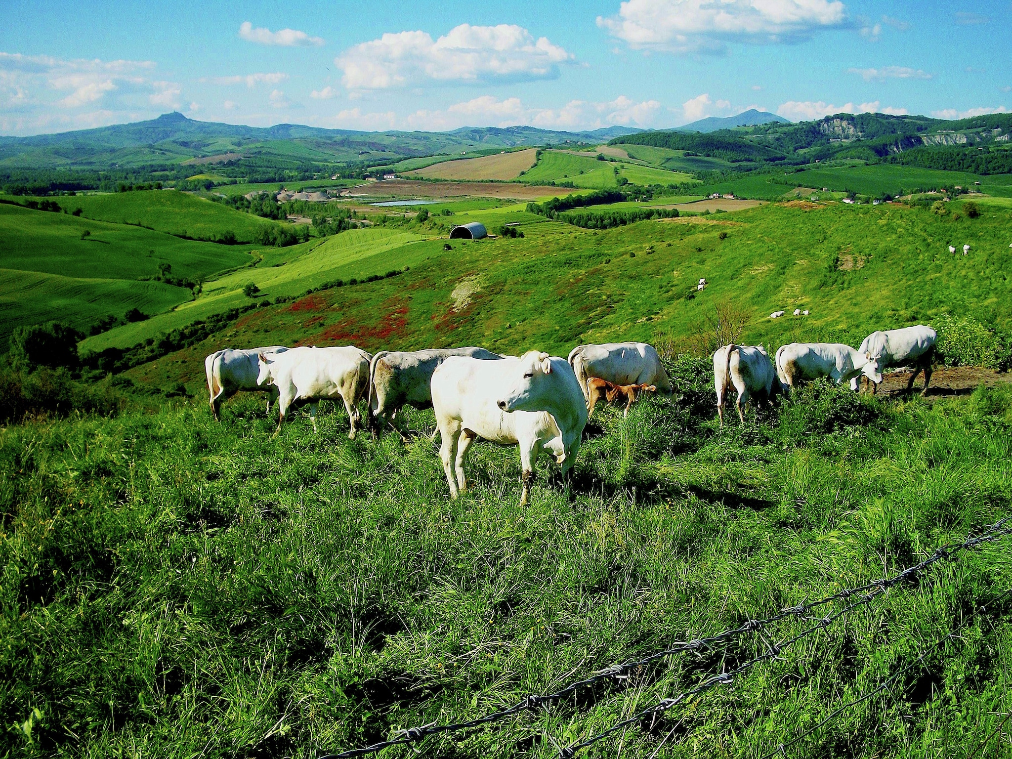 Vacation home La Colonnetta