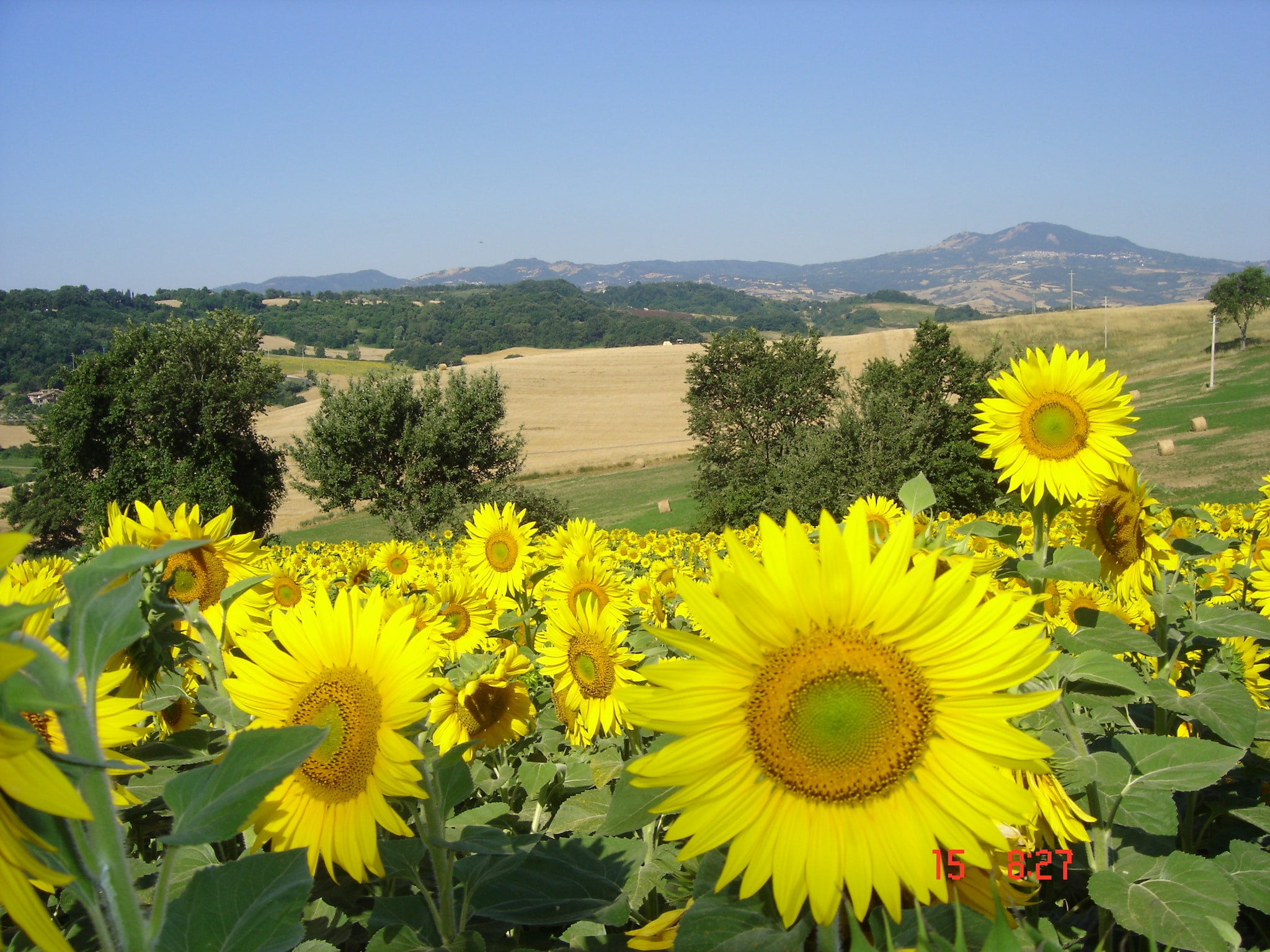 Casa di vacanze Il Portichetto