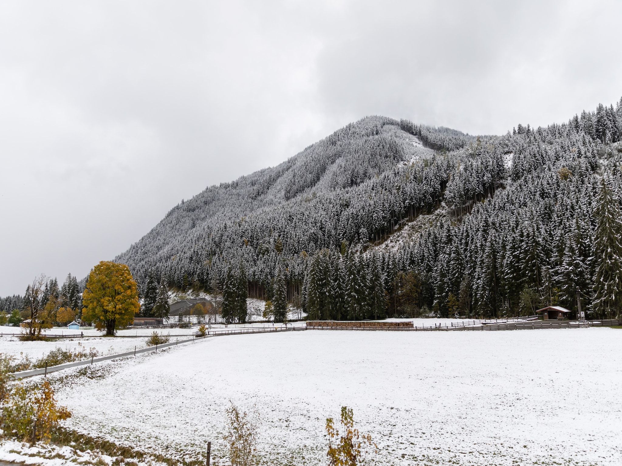 Maison Chalet Apartment Mittenwald Top 2
