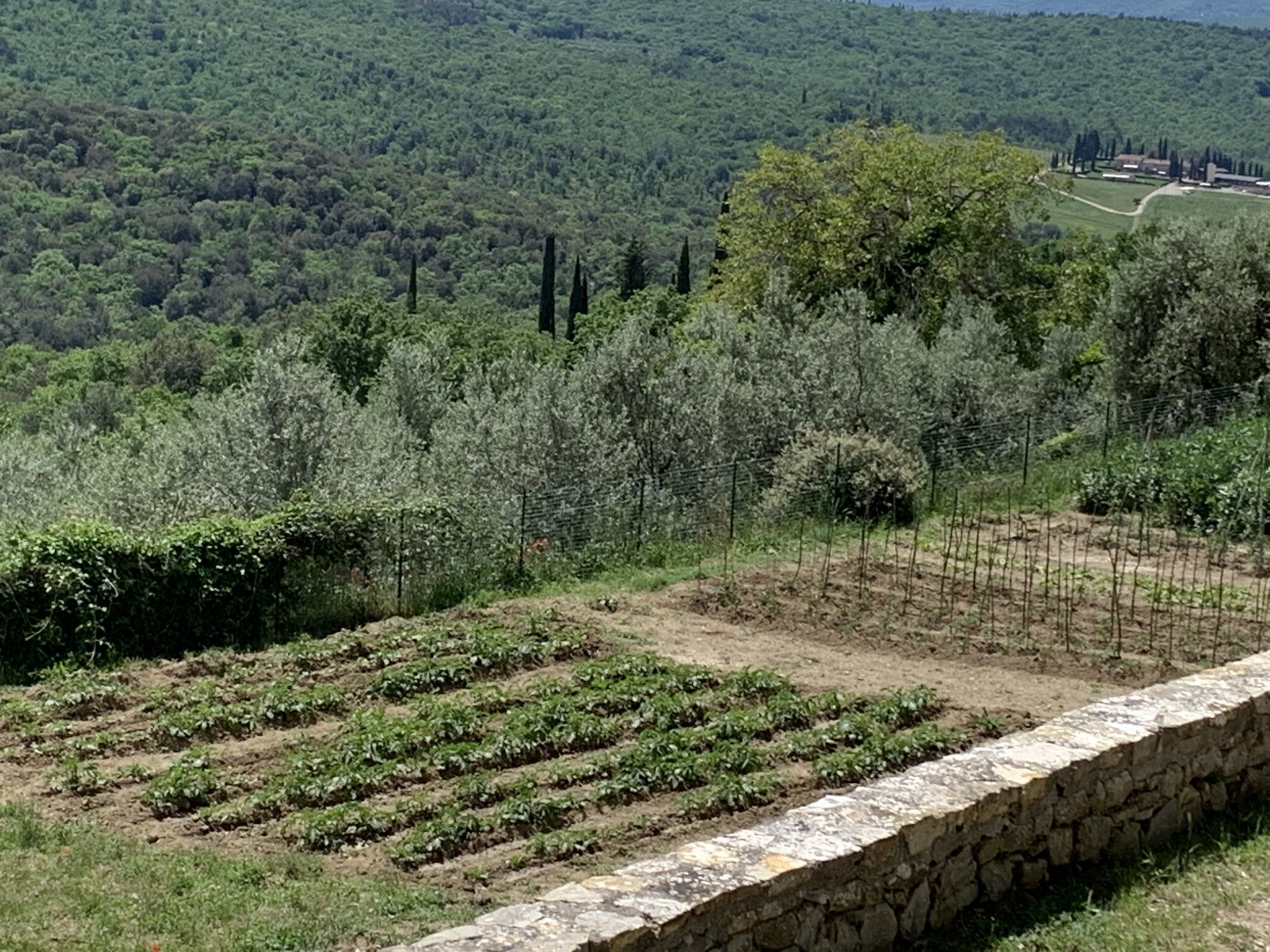   La Casetta