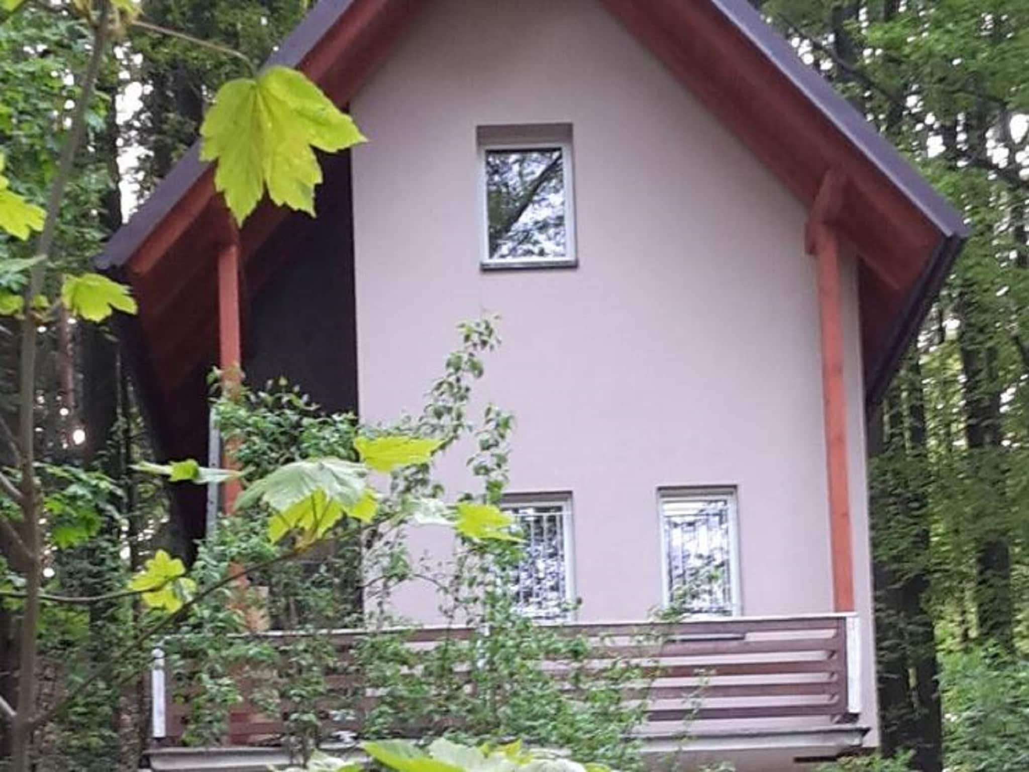   Prachověnka