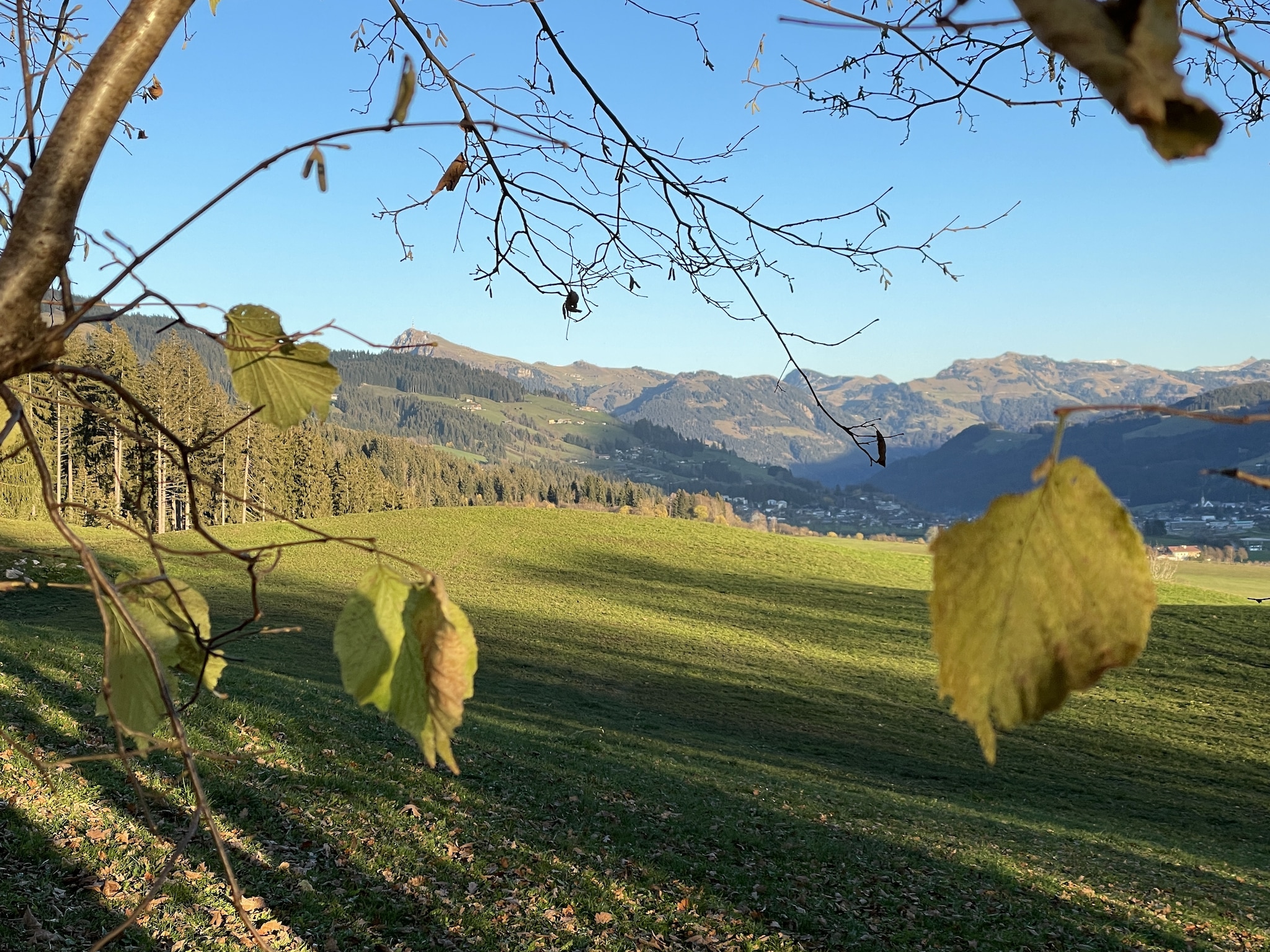 Appartement Residenz Edelalm Top 3