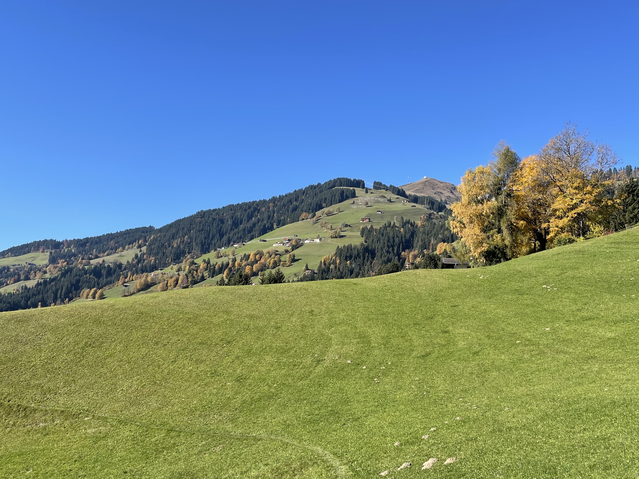 Appartement Residenz Edelalm Top 3
