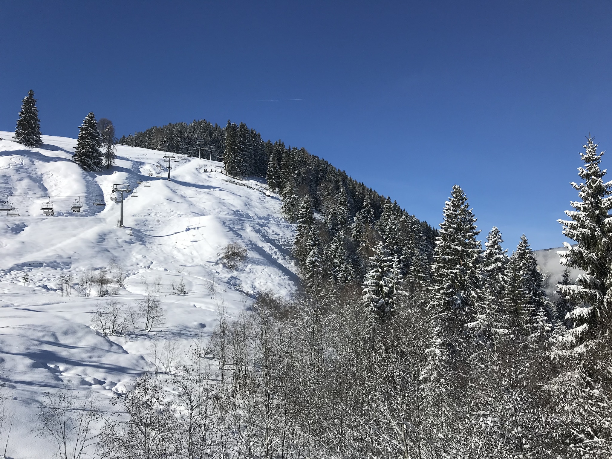 Appartement Residenz Edelalm Top 3