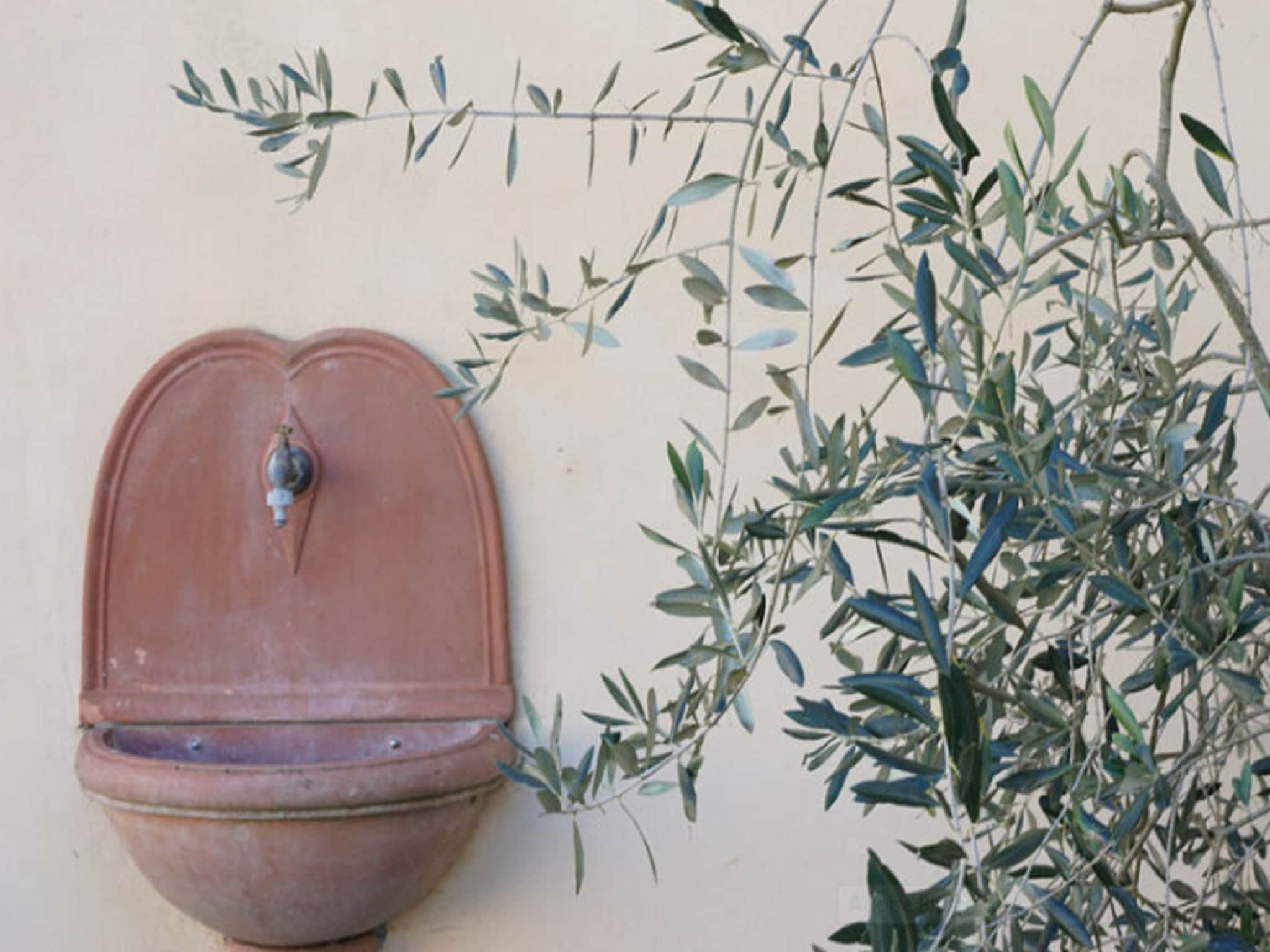   il Giardino