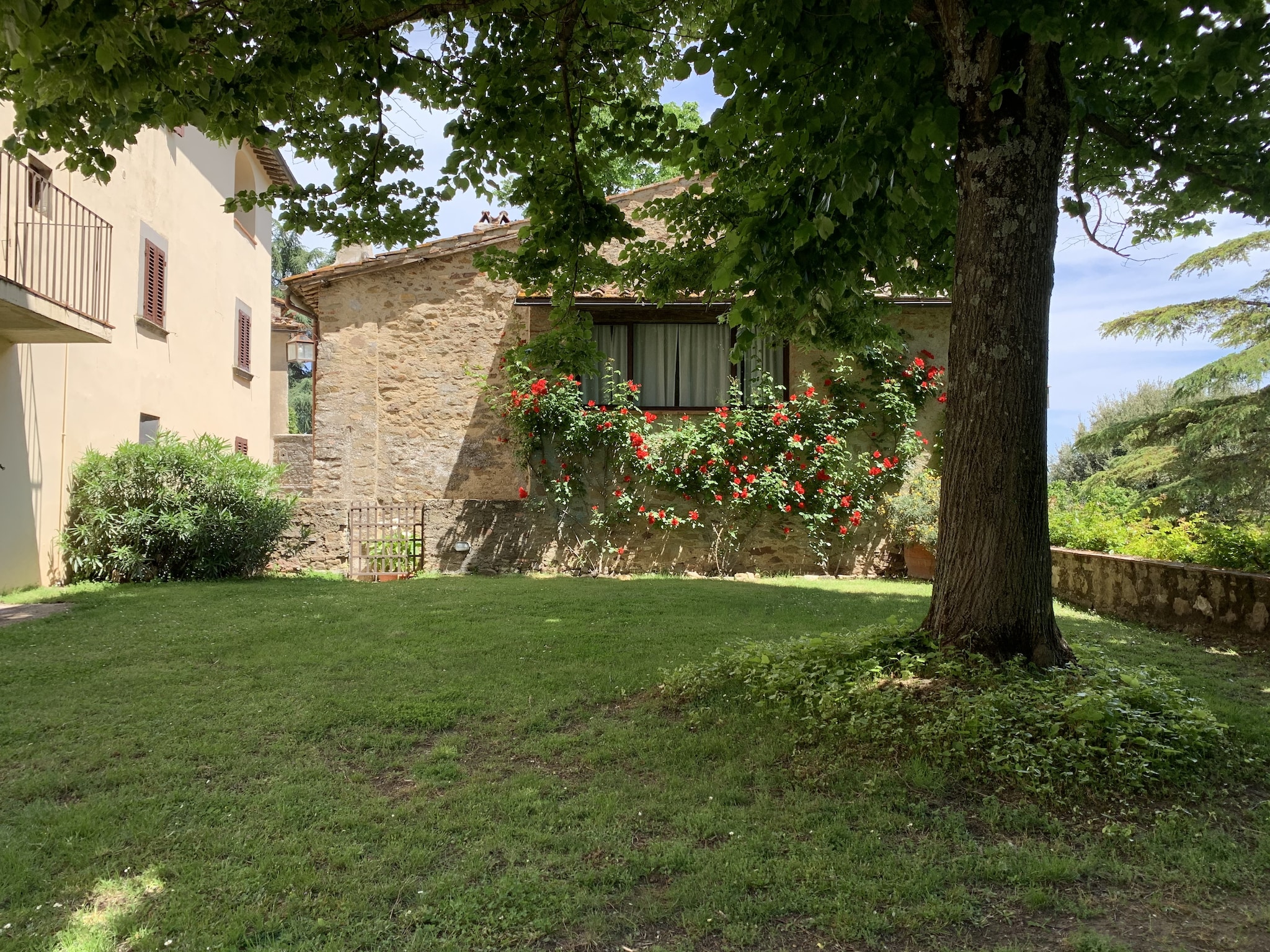   il Giardino