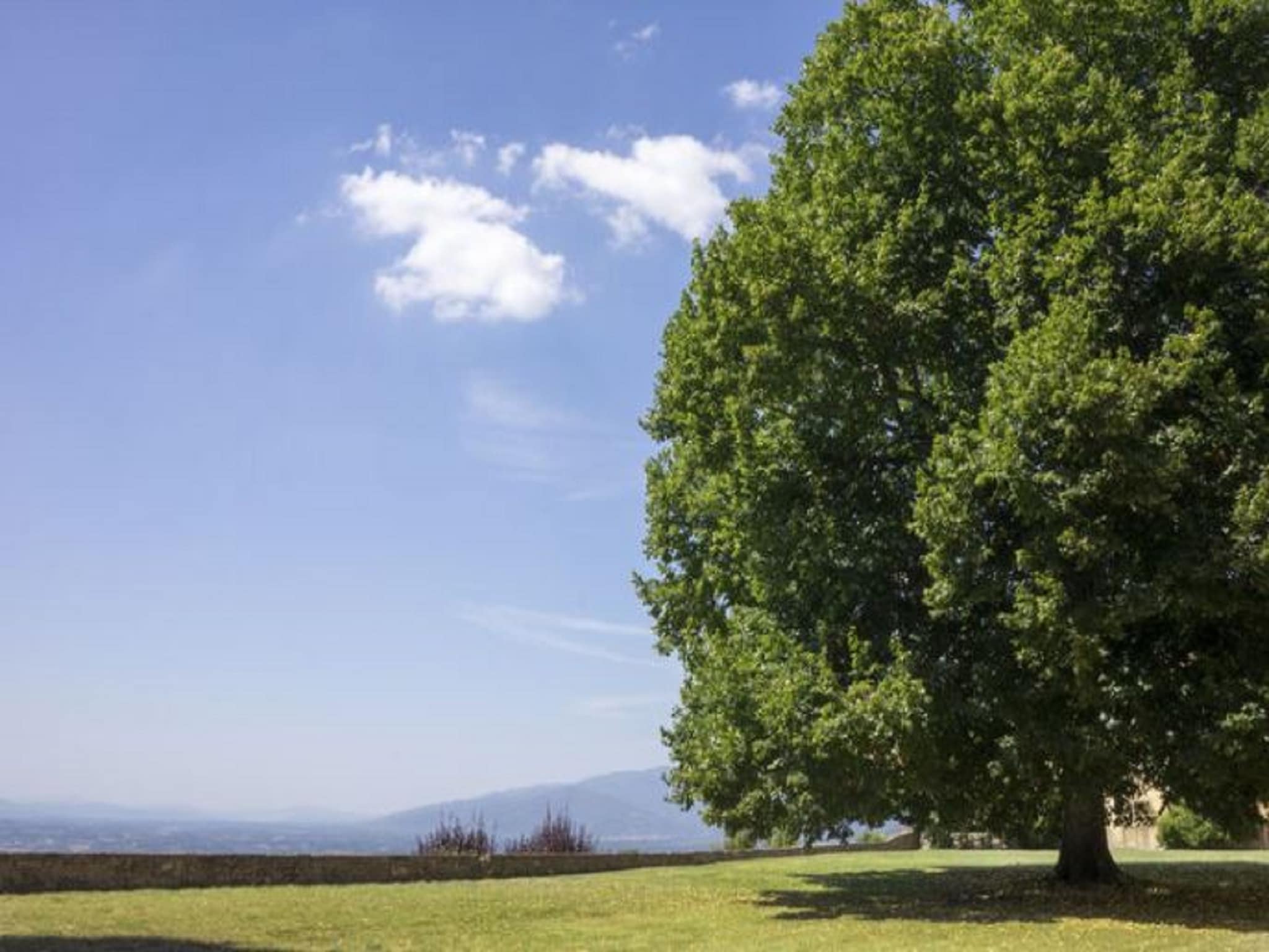  il Giardino