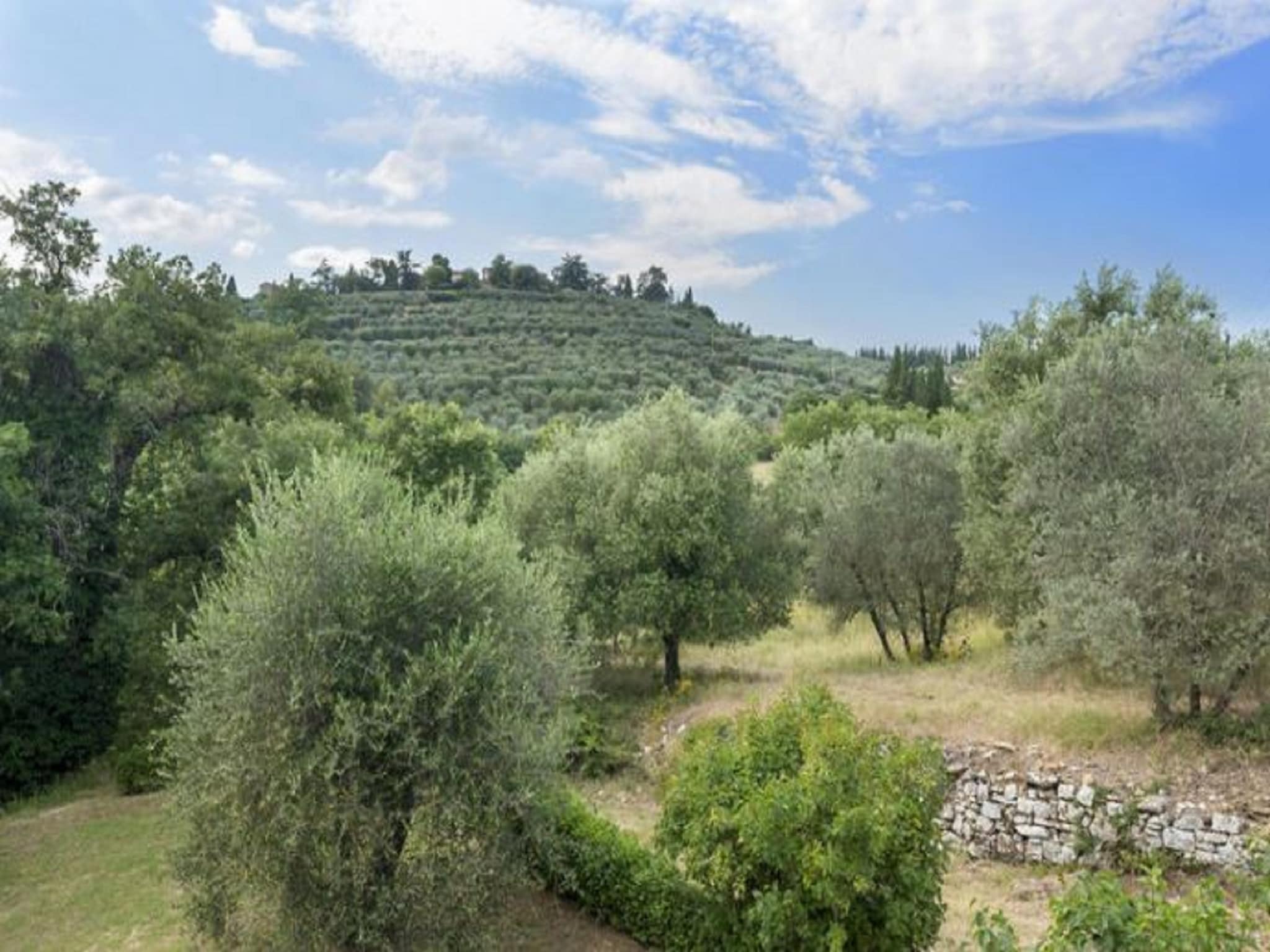   il Giardino