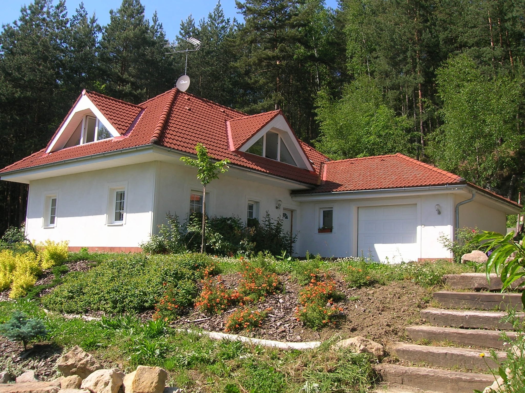   Borivoj
