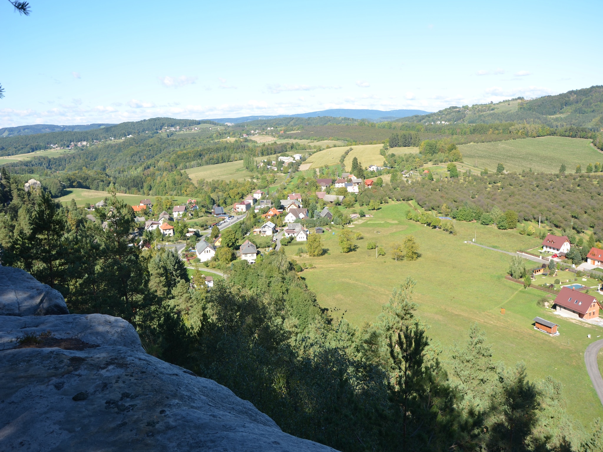   Borivoj
