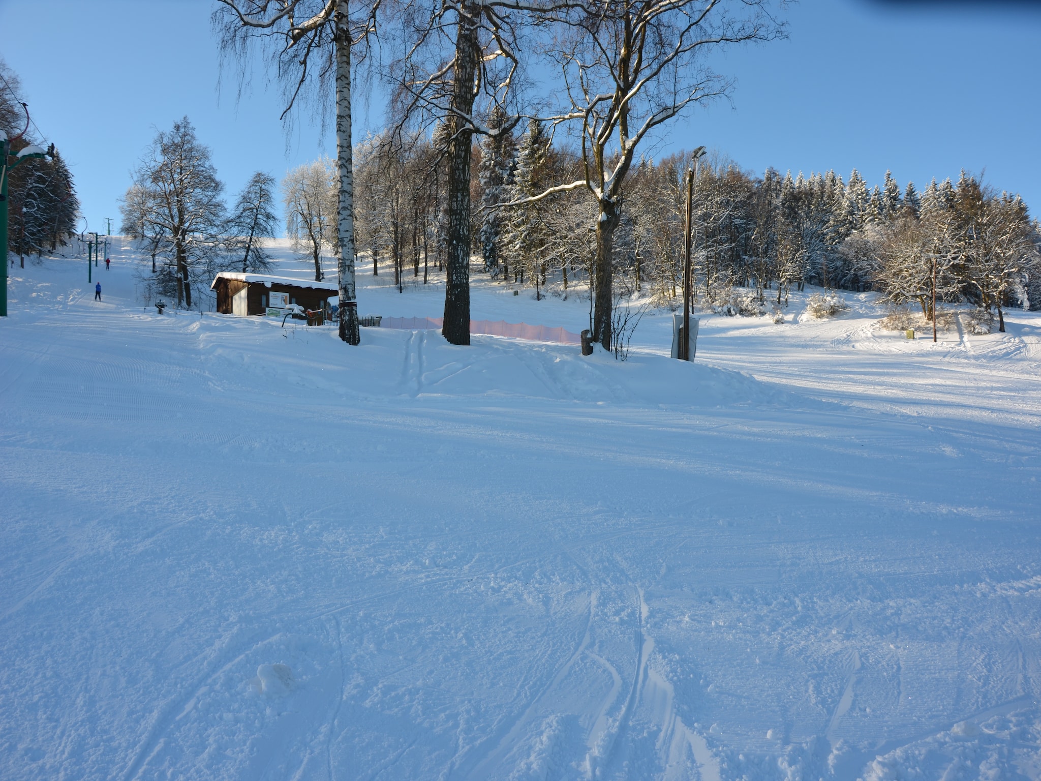  Borivoj