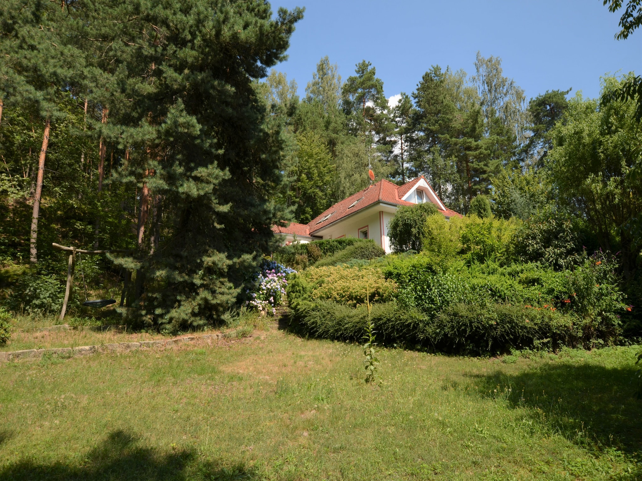   Borivoj