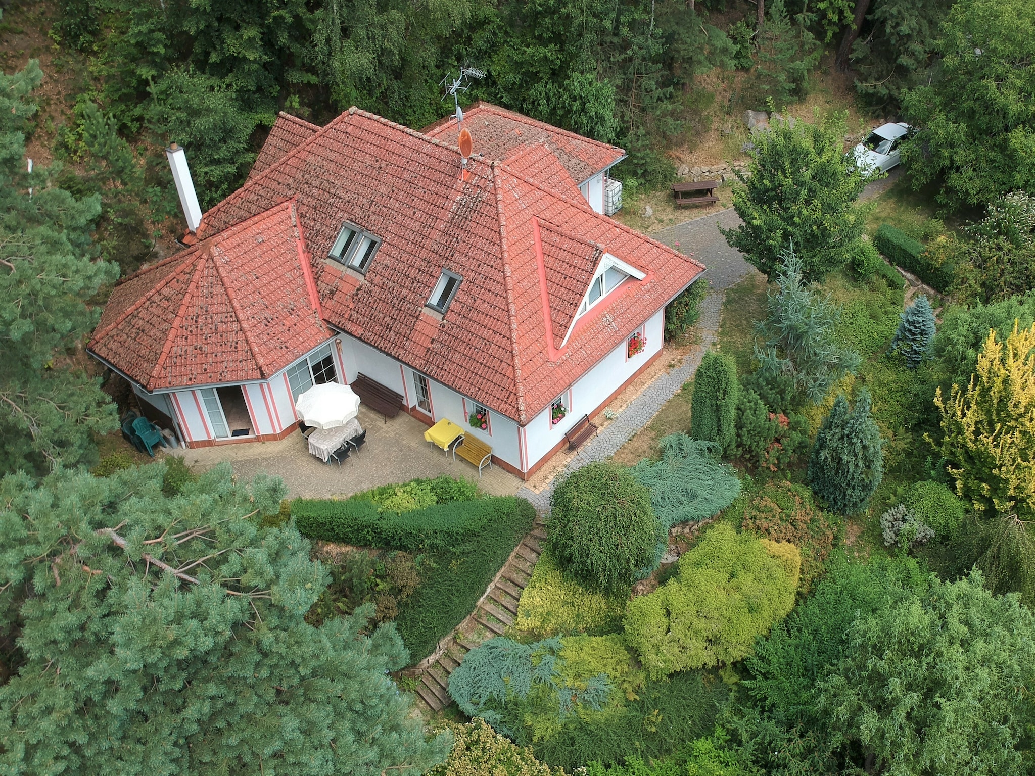   Borivoj