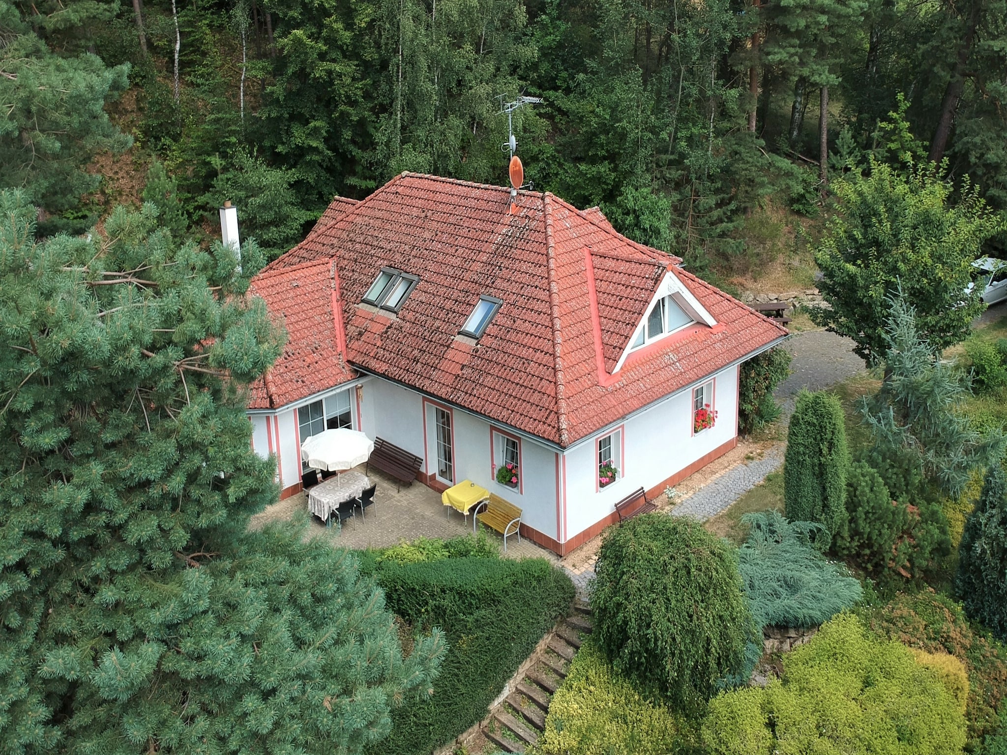   Borivoj