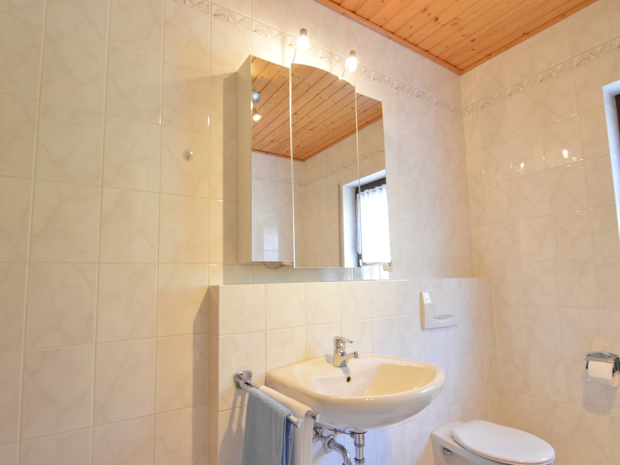 Ferienwohnung Ferienwohnung Hoff OG