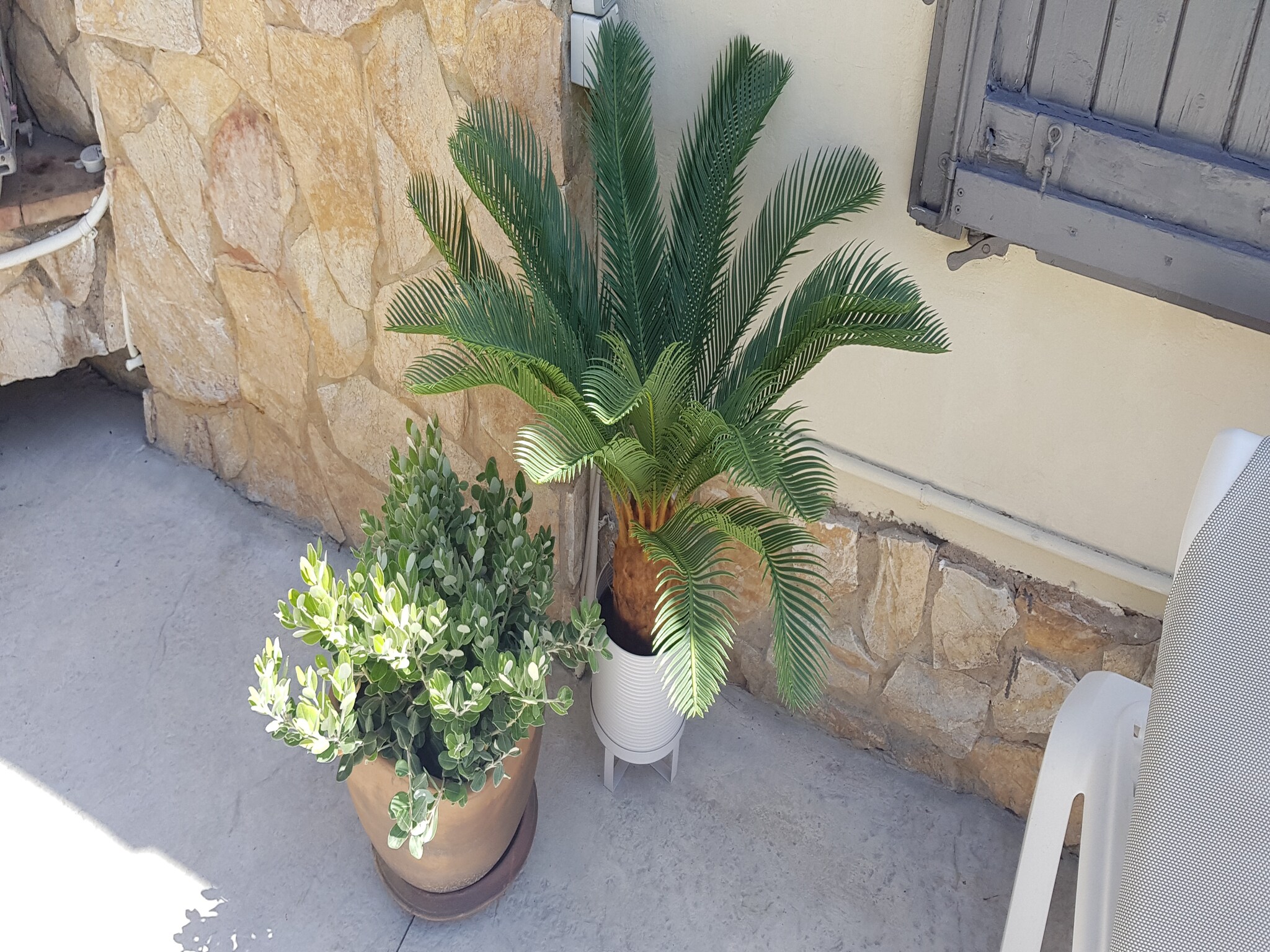 Casa de vacaciones Colom