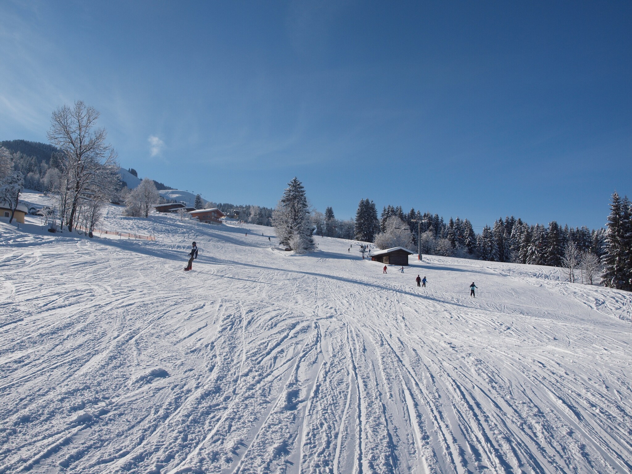 Vacation home Berghof Webern