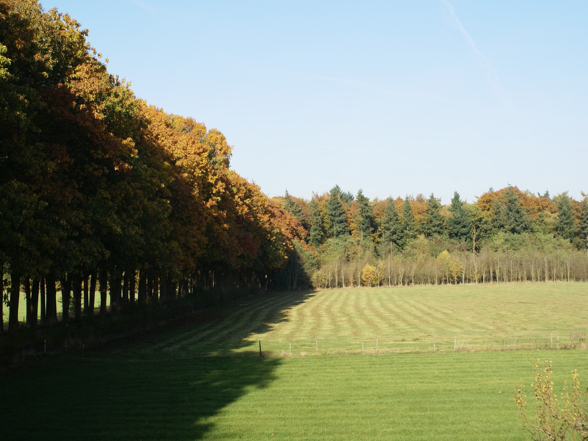 Vakantiehuis Hofstede Groot Blankenstein
