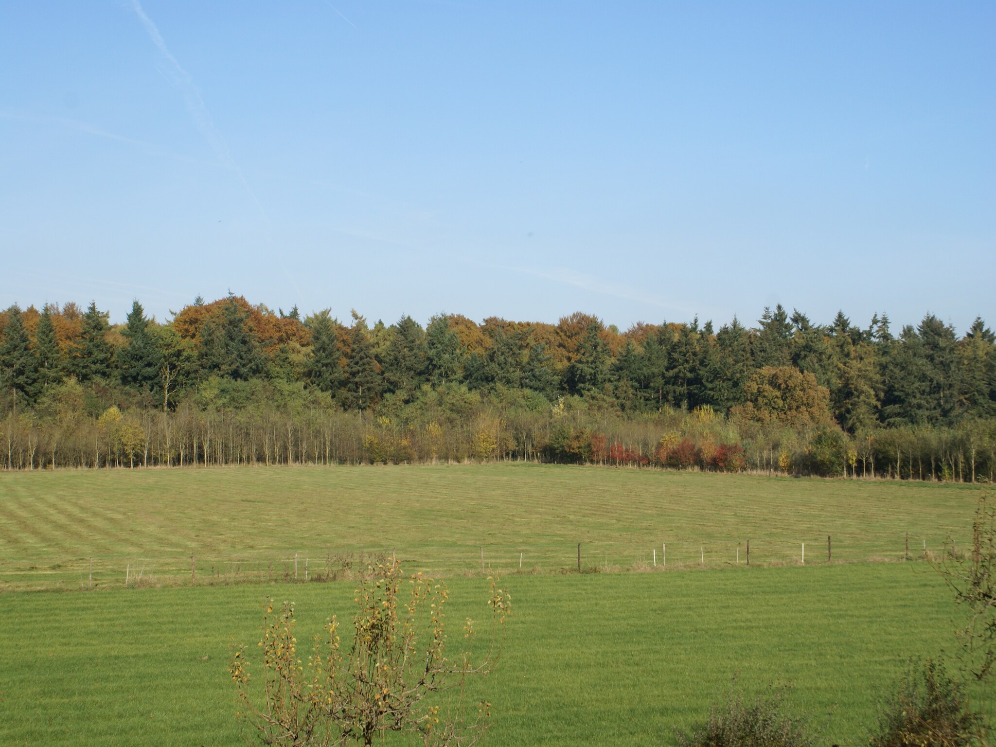 Vakantiehuis Hofstede Groot Blankenstein