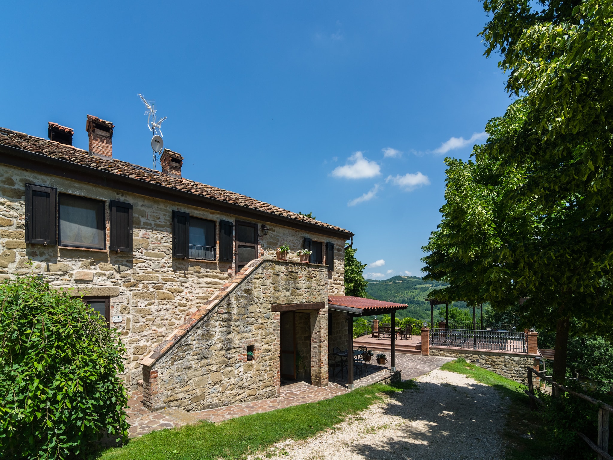   Gelsomino