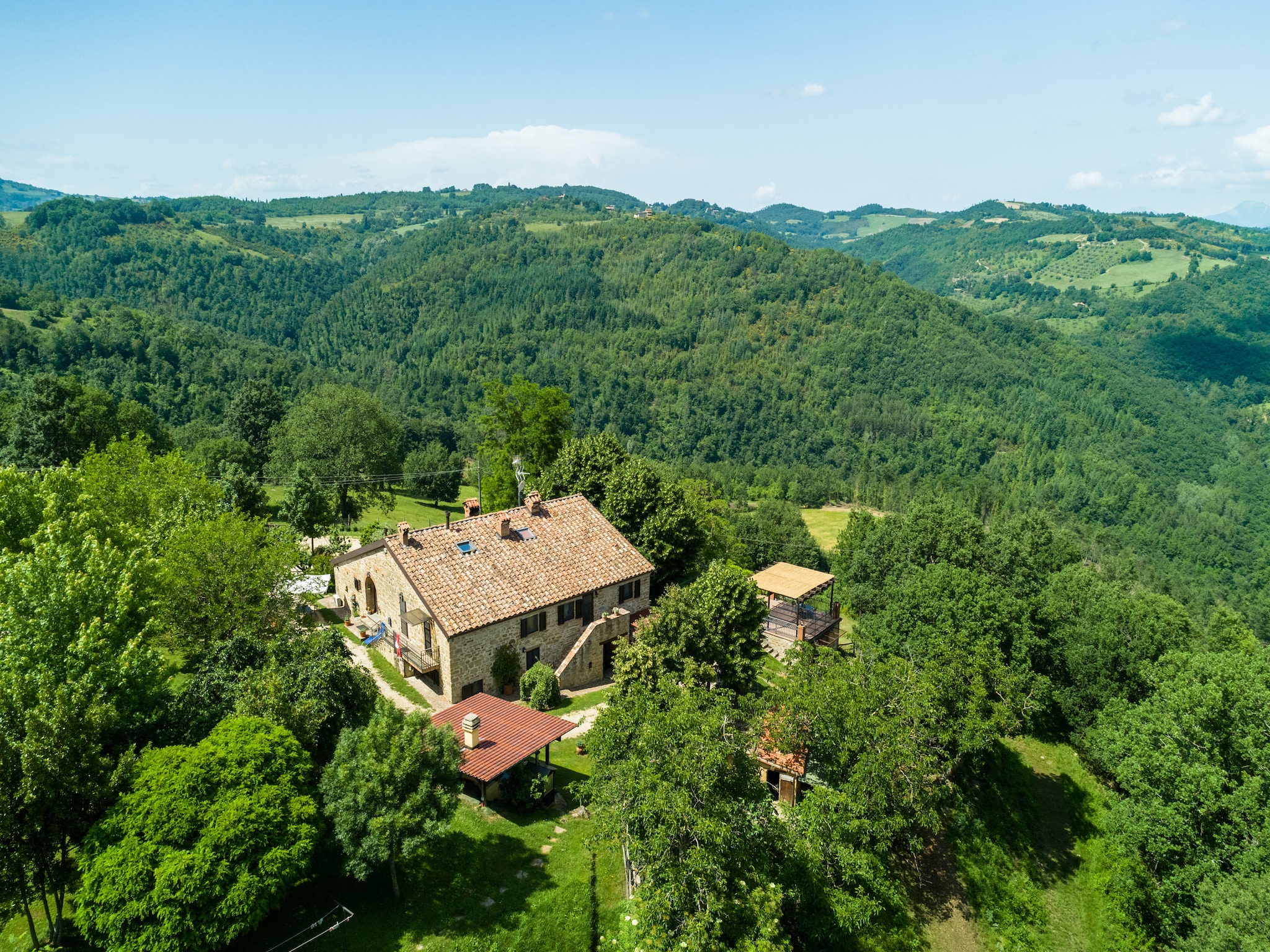   Gelsomino