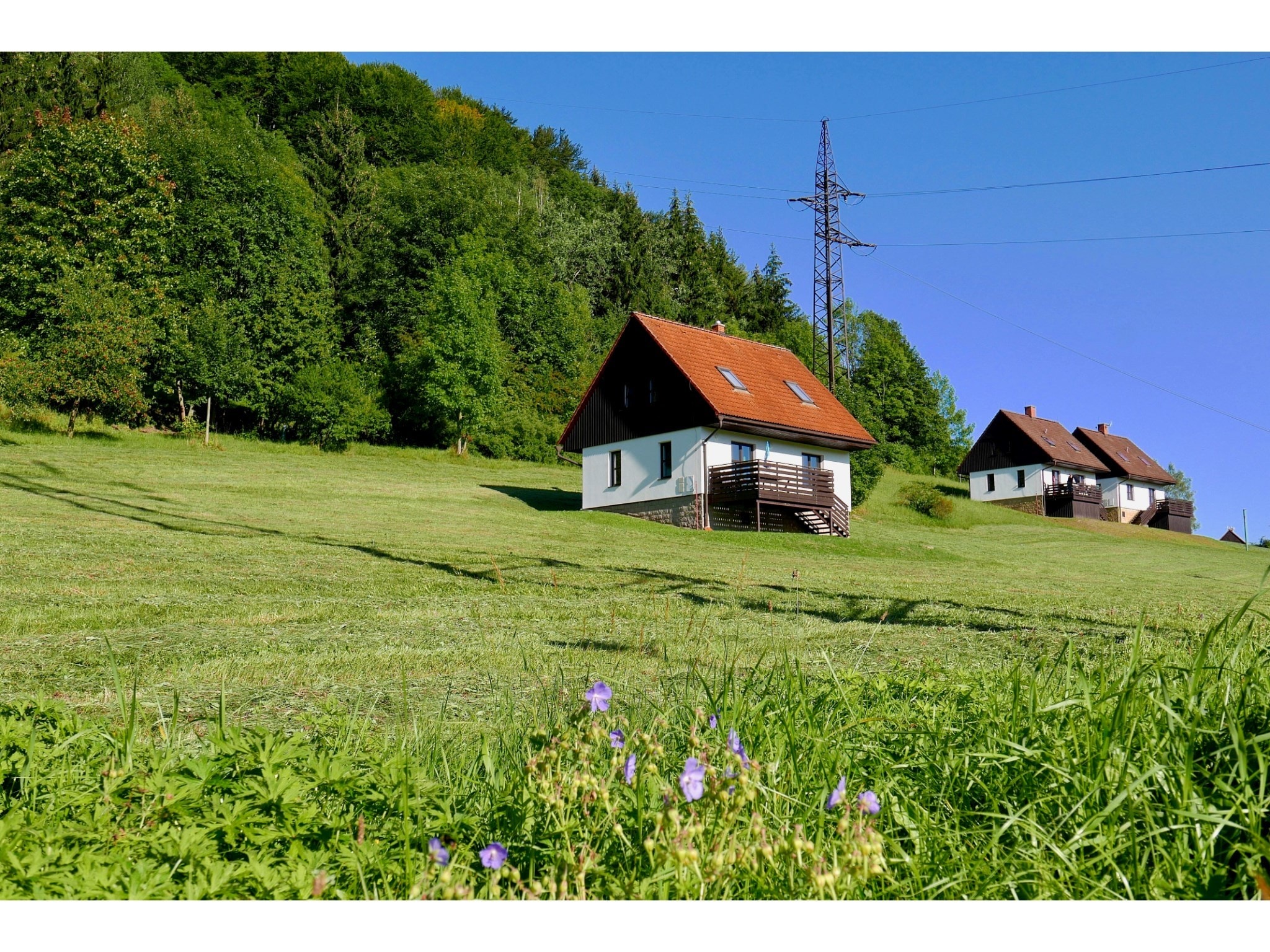 Ferienhaus Green Valley Park 1